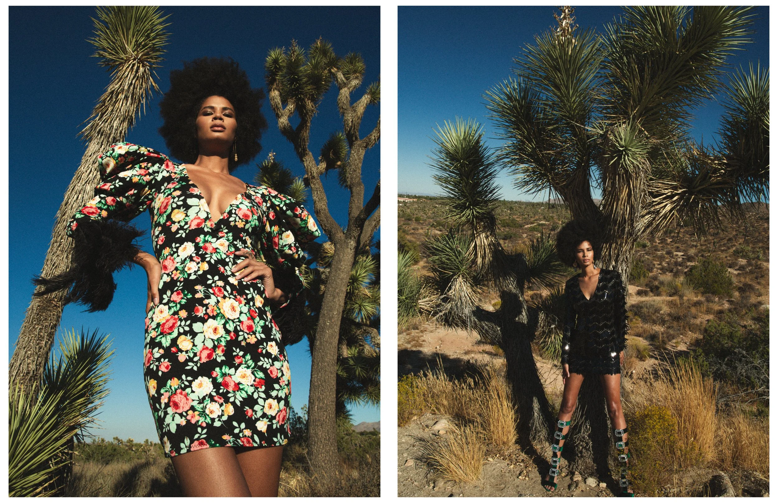 Shadai - Mojave86.jpg