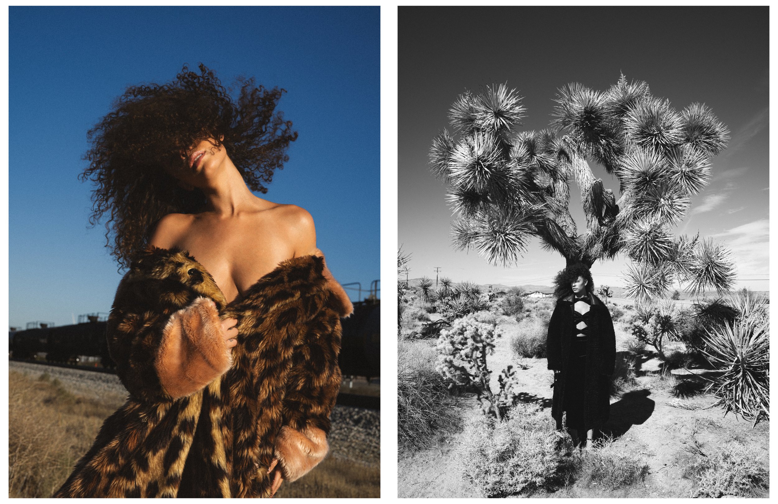 Shadai - Mojave55.jpg