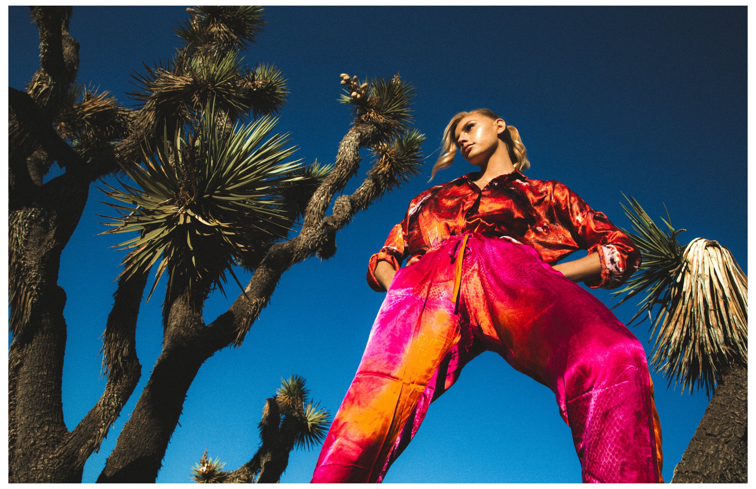 Shadai - Mojave15.jpg