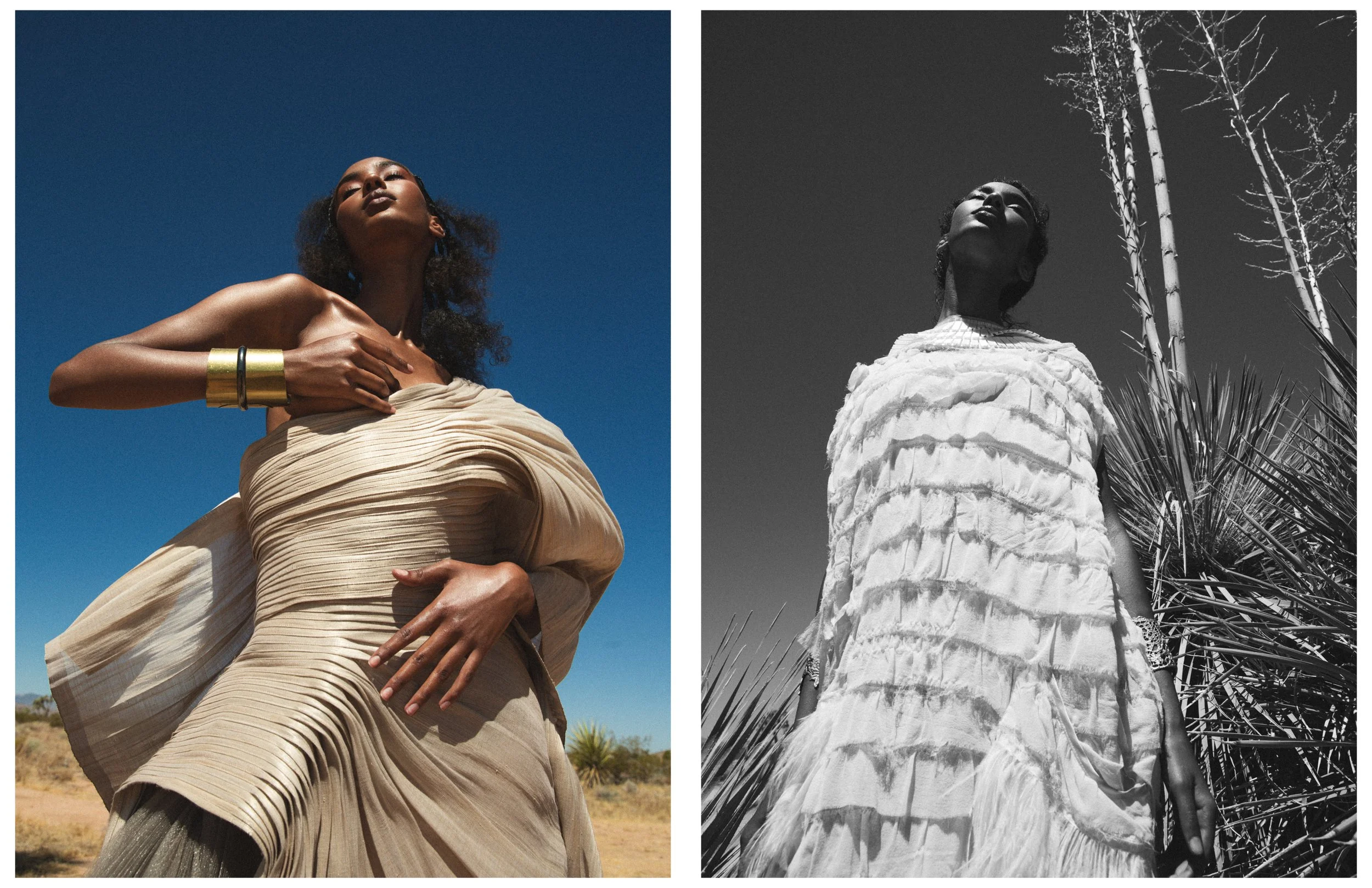 Shadai - Mojave48.jpg