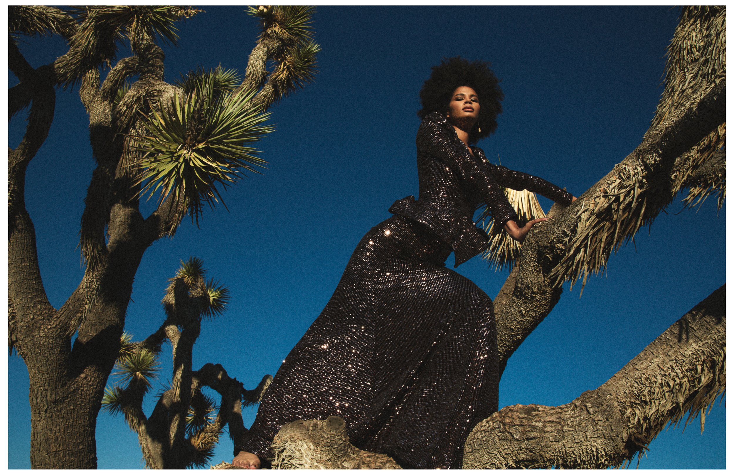 Shadai - Mojave88.jpg