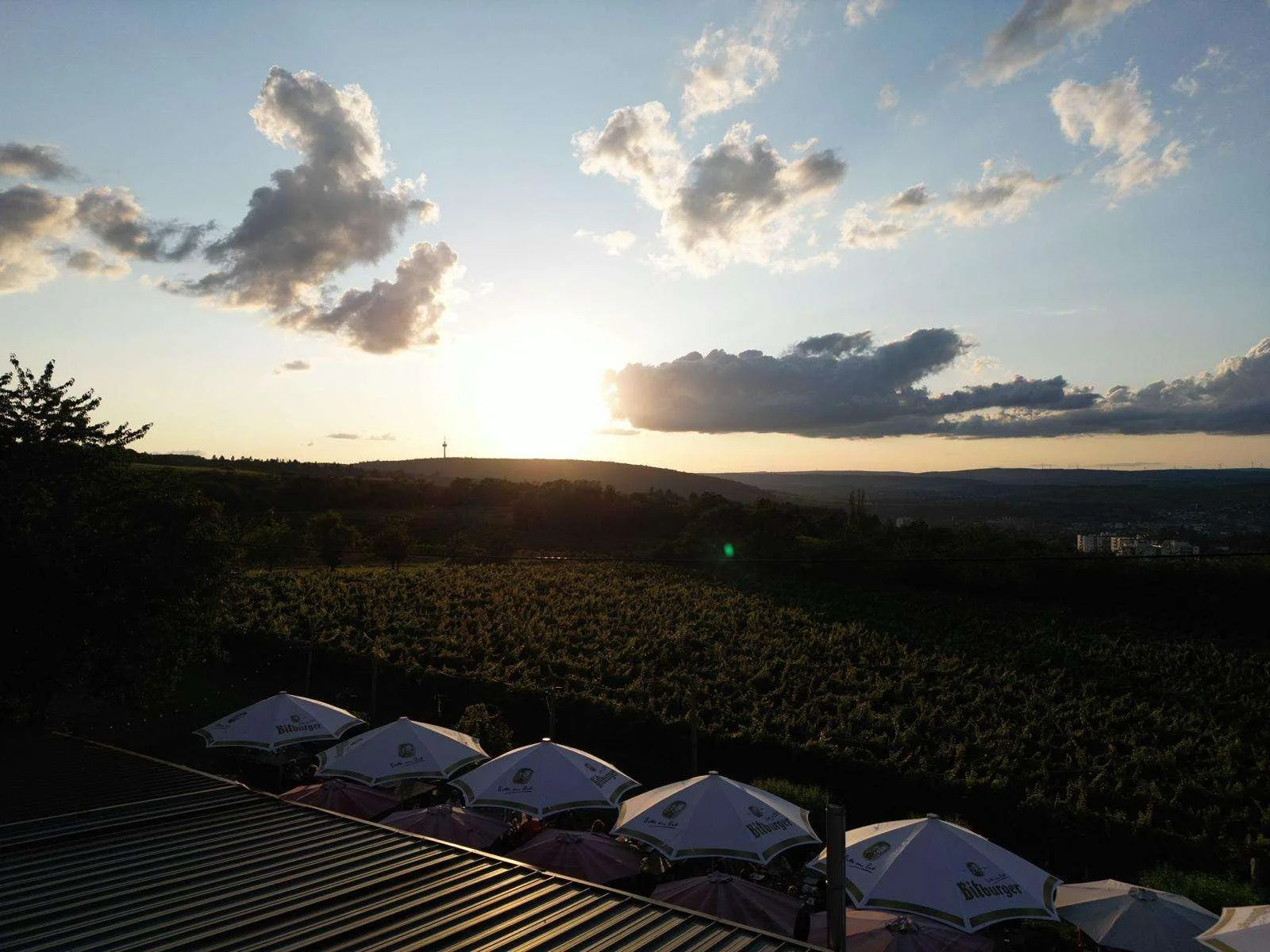 Sonnenuntergang über einer ländlichen Landschaft mit Weinbergen, Wolken im Himmel und mehreren Biergarten-Schirmen im Vordergrund.