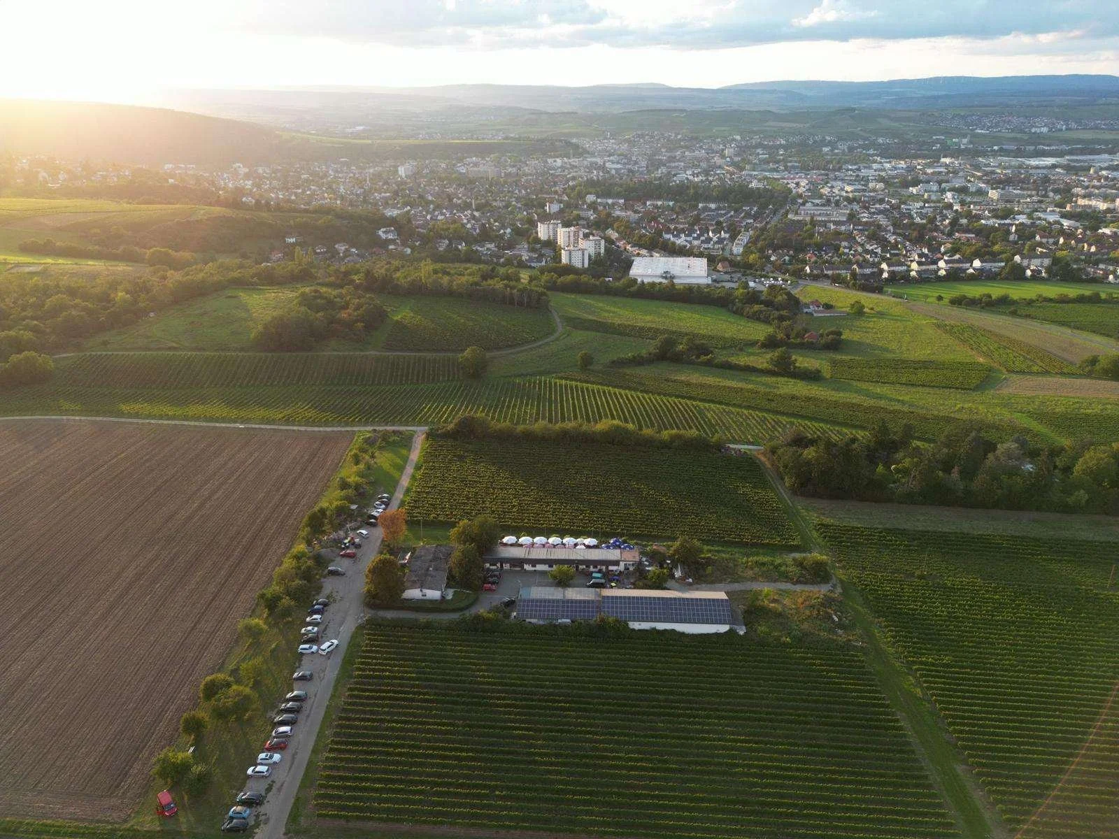 Luftaufnahme einer landwirtschaftlichen Landschaft mit Weinbergen, Feldern und einer kleinen Gebäudeanlage bei Sonnenuntergang, Blick auf eine Stadt im Hintergrund.