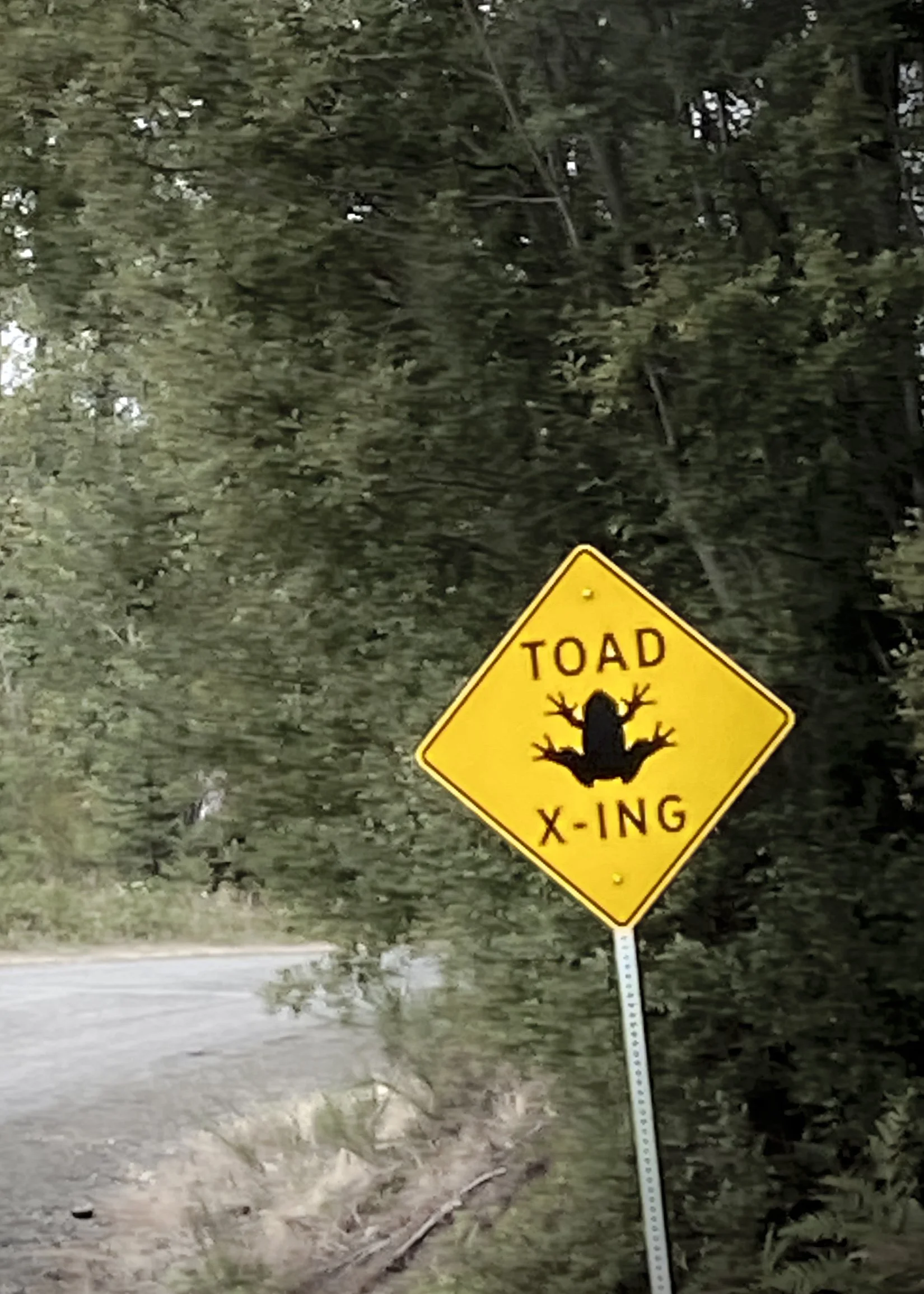 Toad X-ing Sign