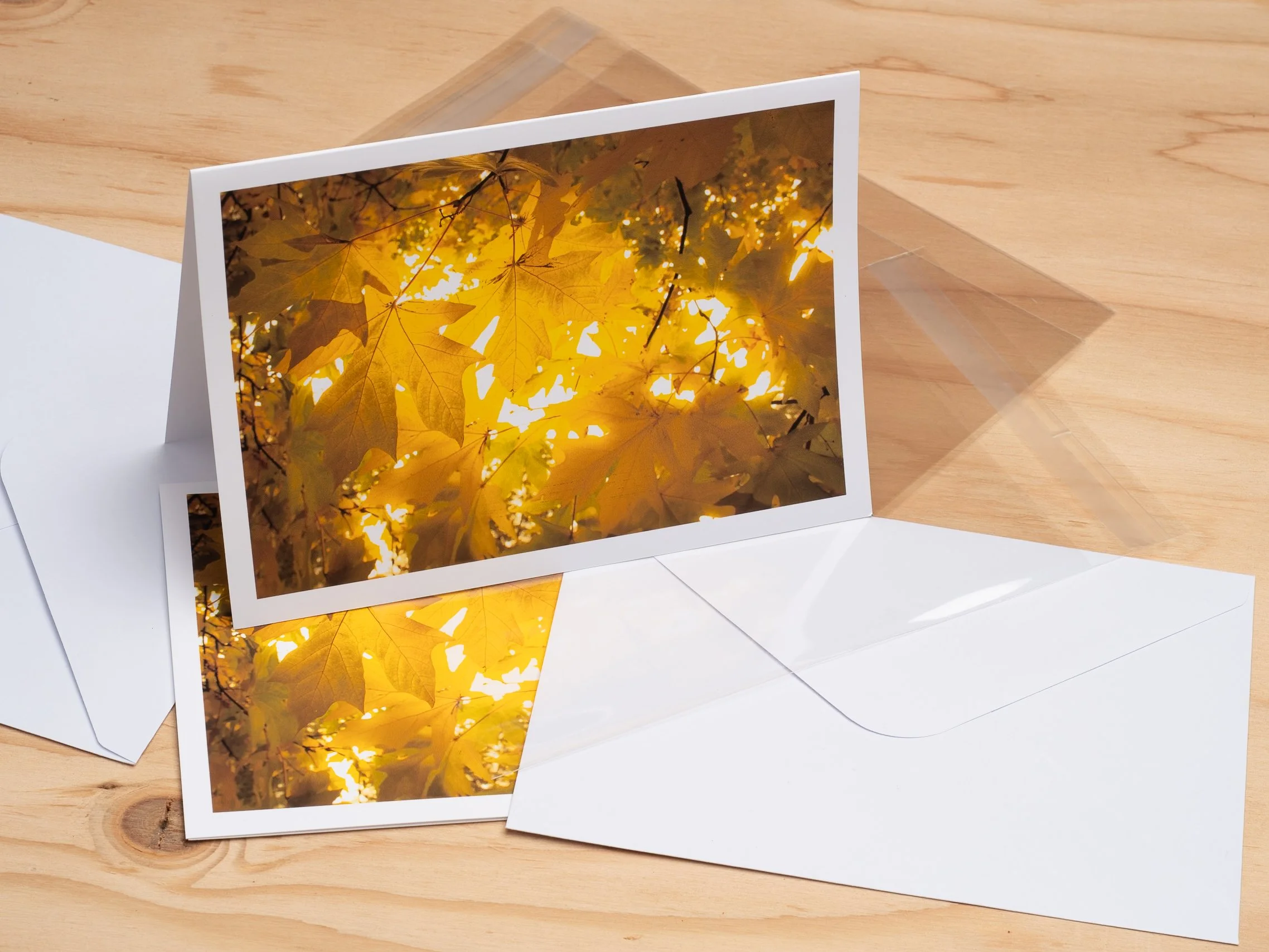 Art Card printing with envelope and sleeve