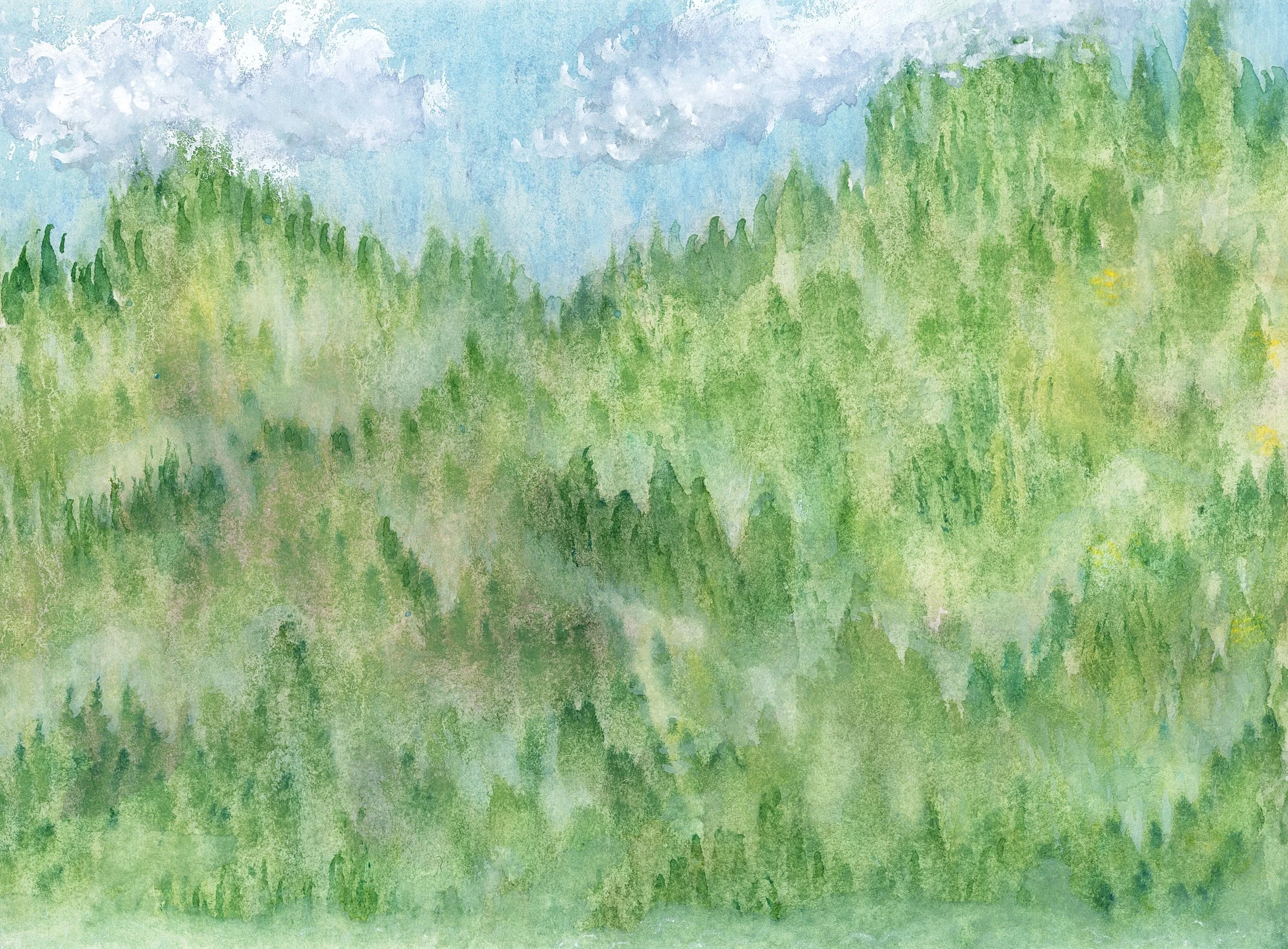 Watercolour painting of misty forest of evergreens