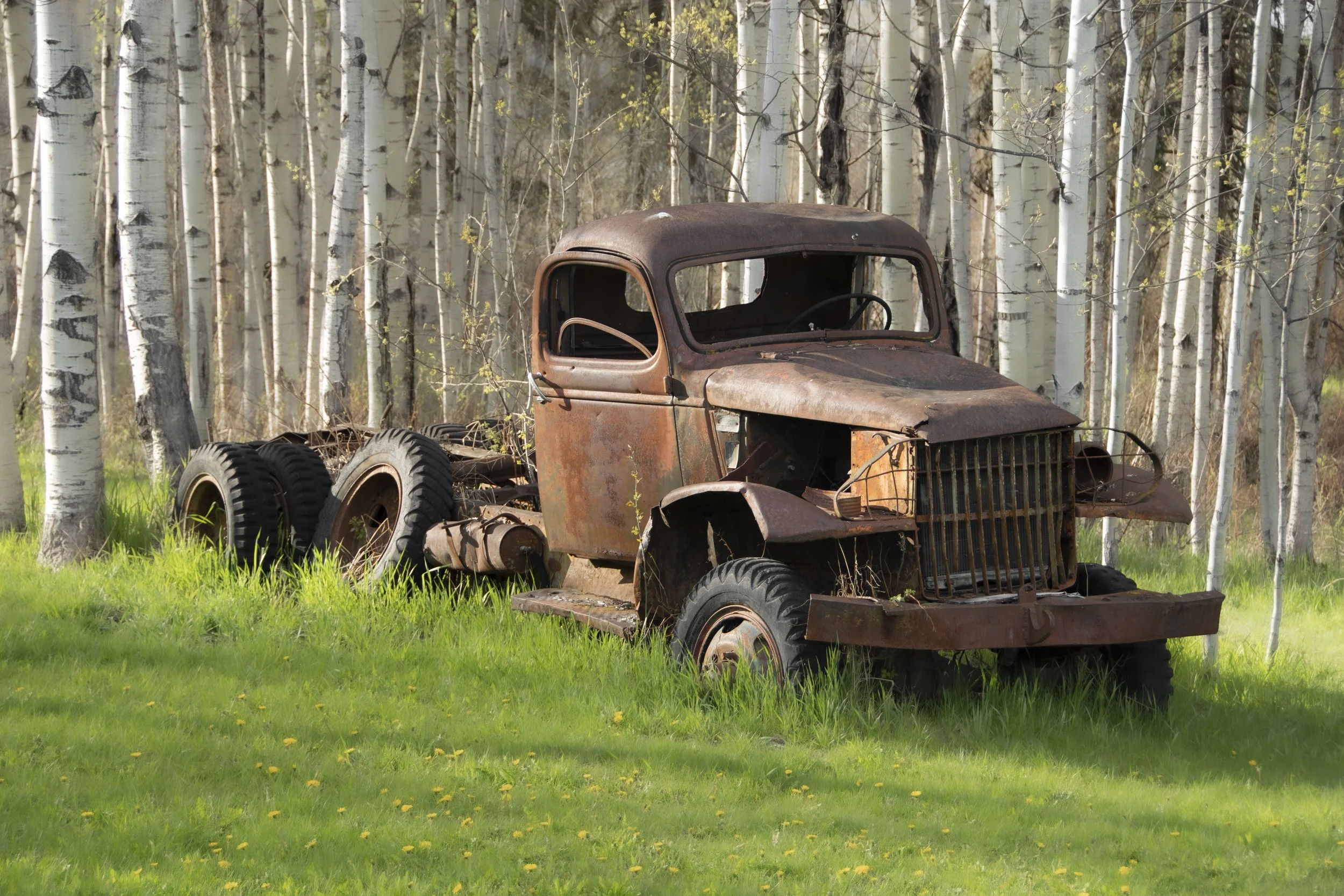 Old vintage truck