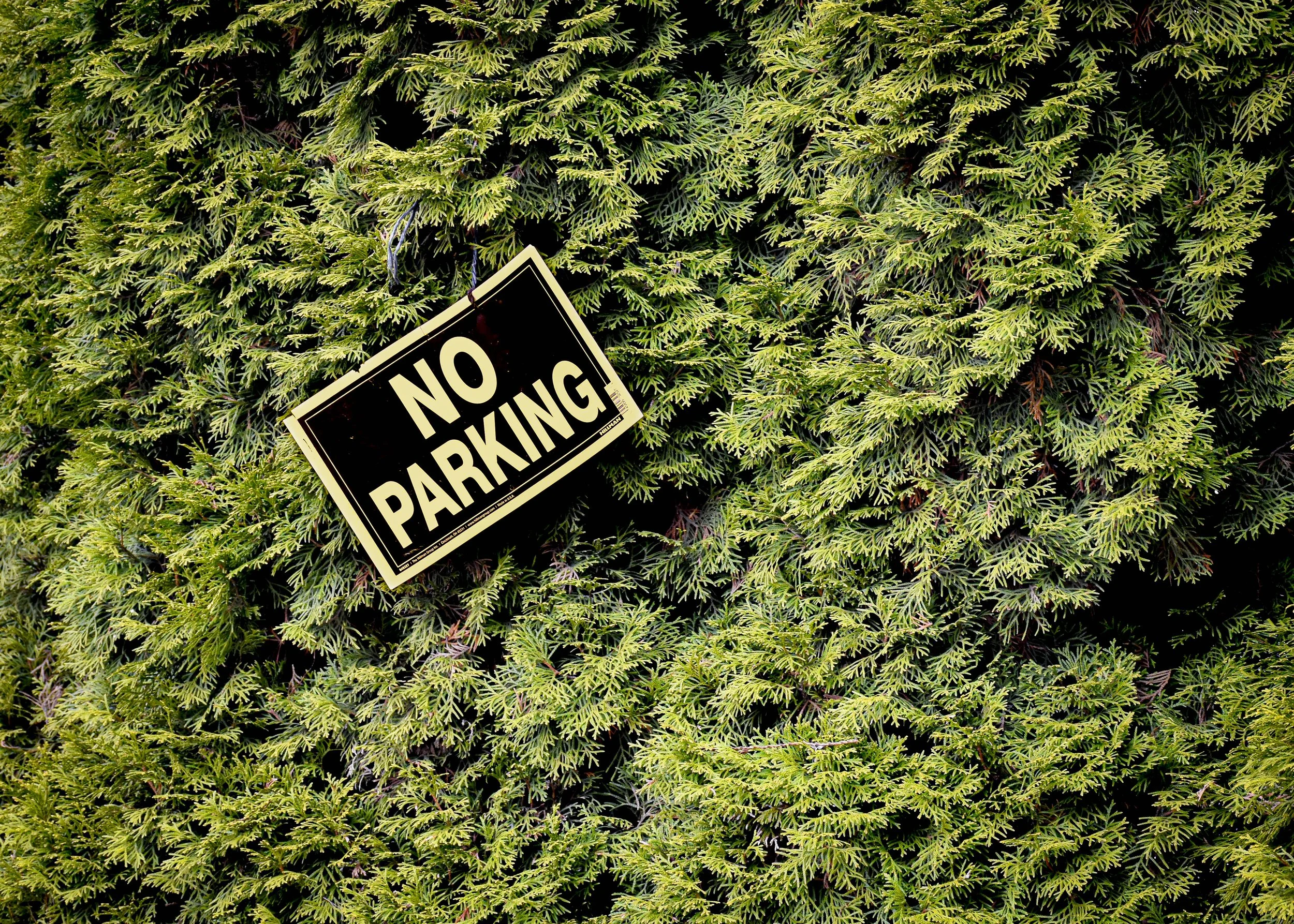 No Parking