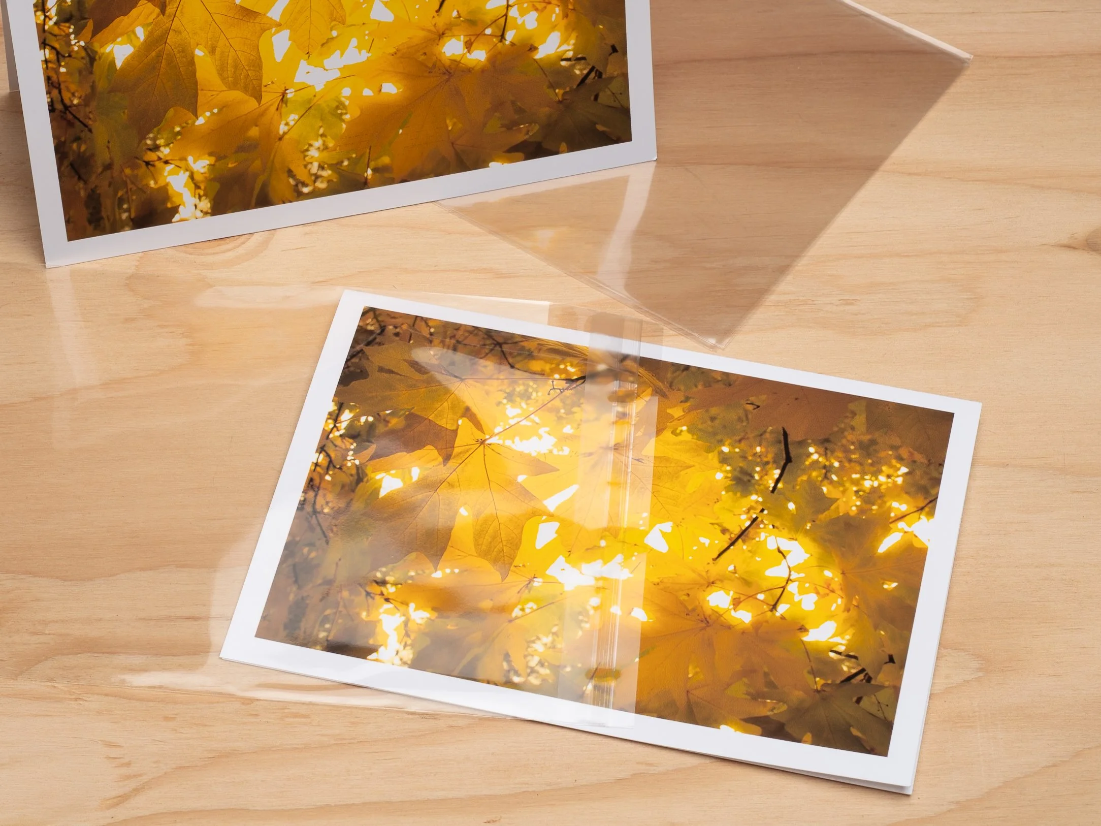 Art Card with plastic sleeve