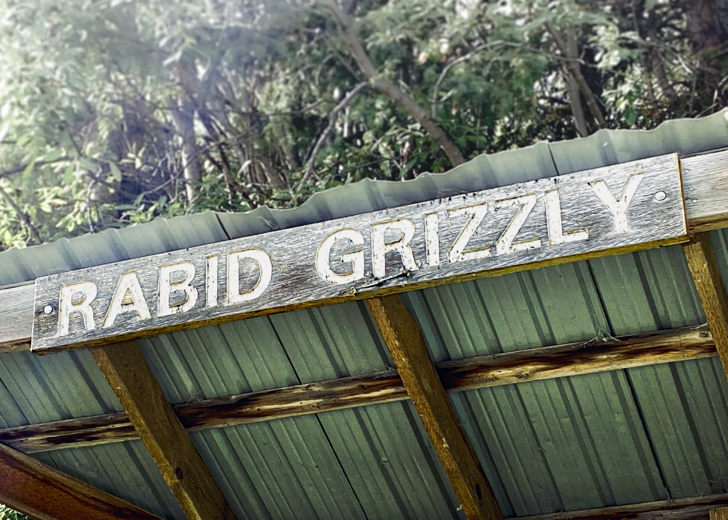 Rabid Grizzly