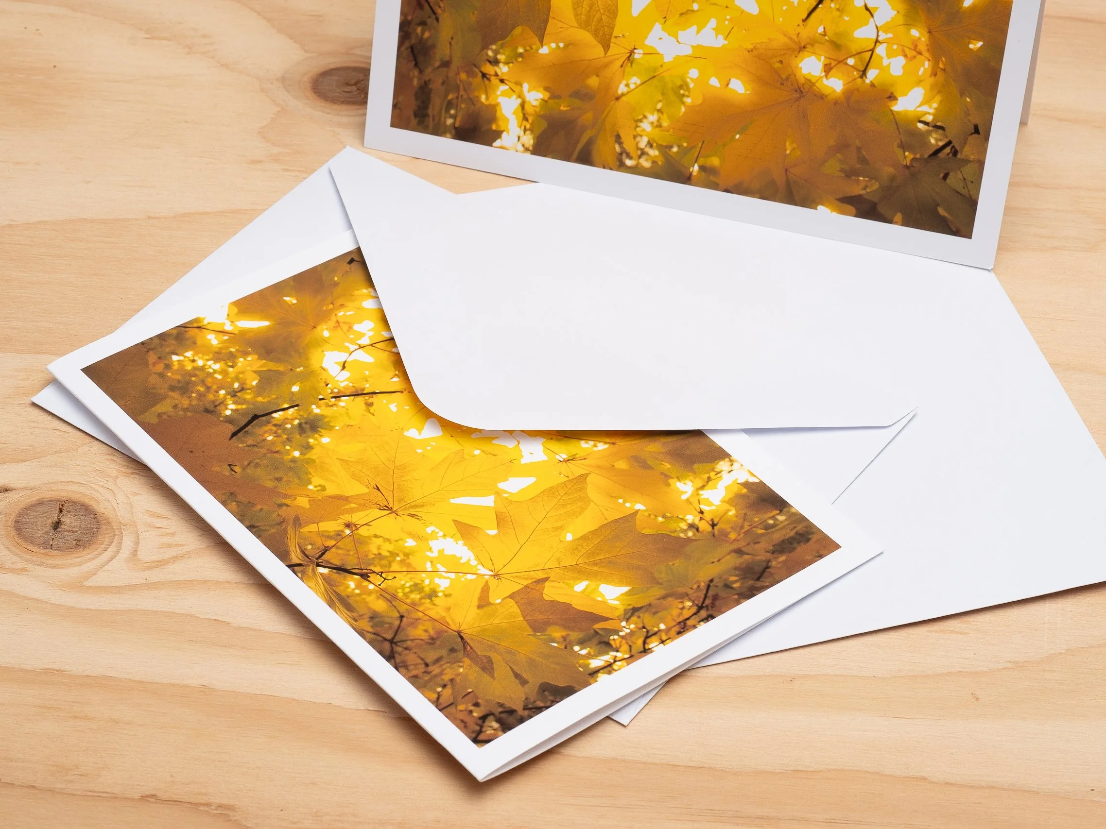 Art Card with white envelope