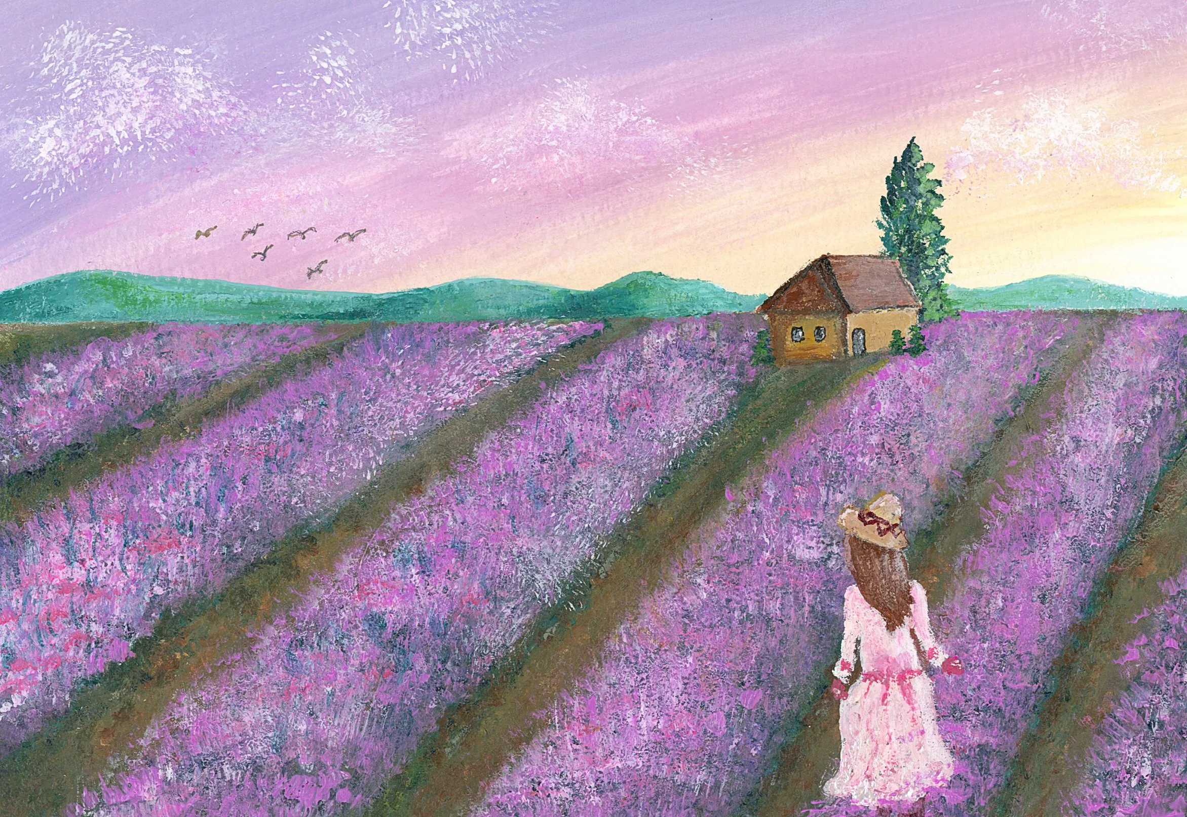 Lavender Field.jpeg