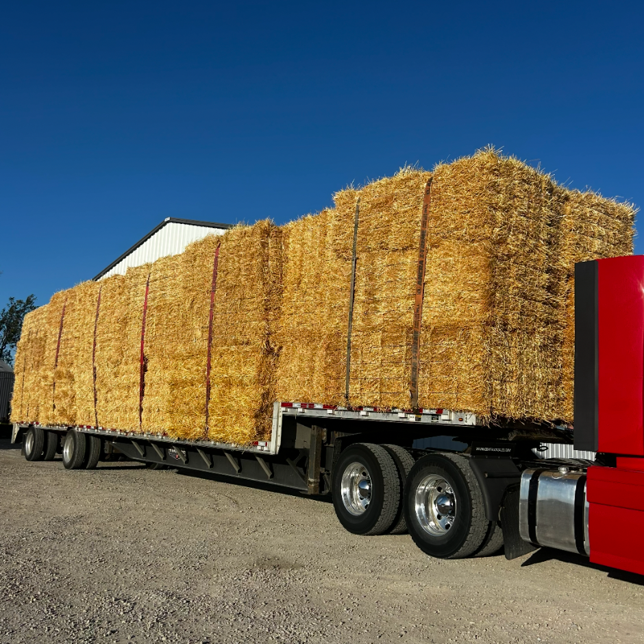 A flatbed truck carrying large stacks of straw bales under a clear blue sky.