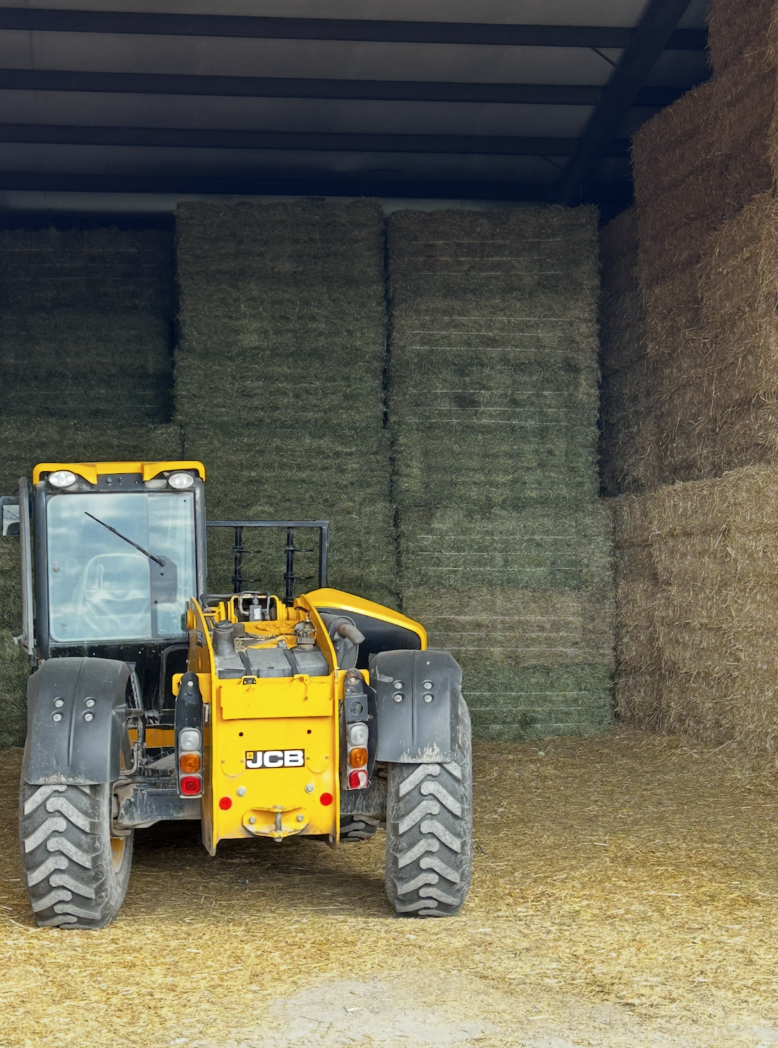 Yellow JCB tractor inside a barn with large stacks of hay bales in the background.