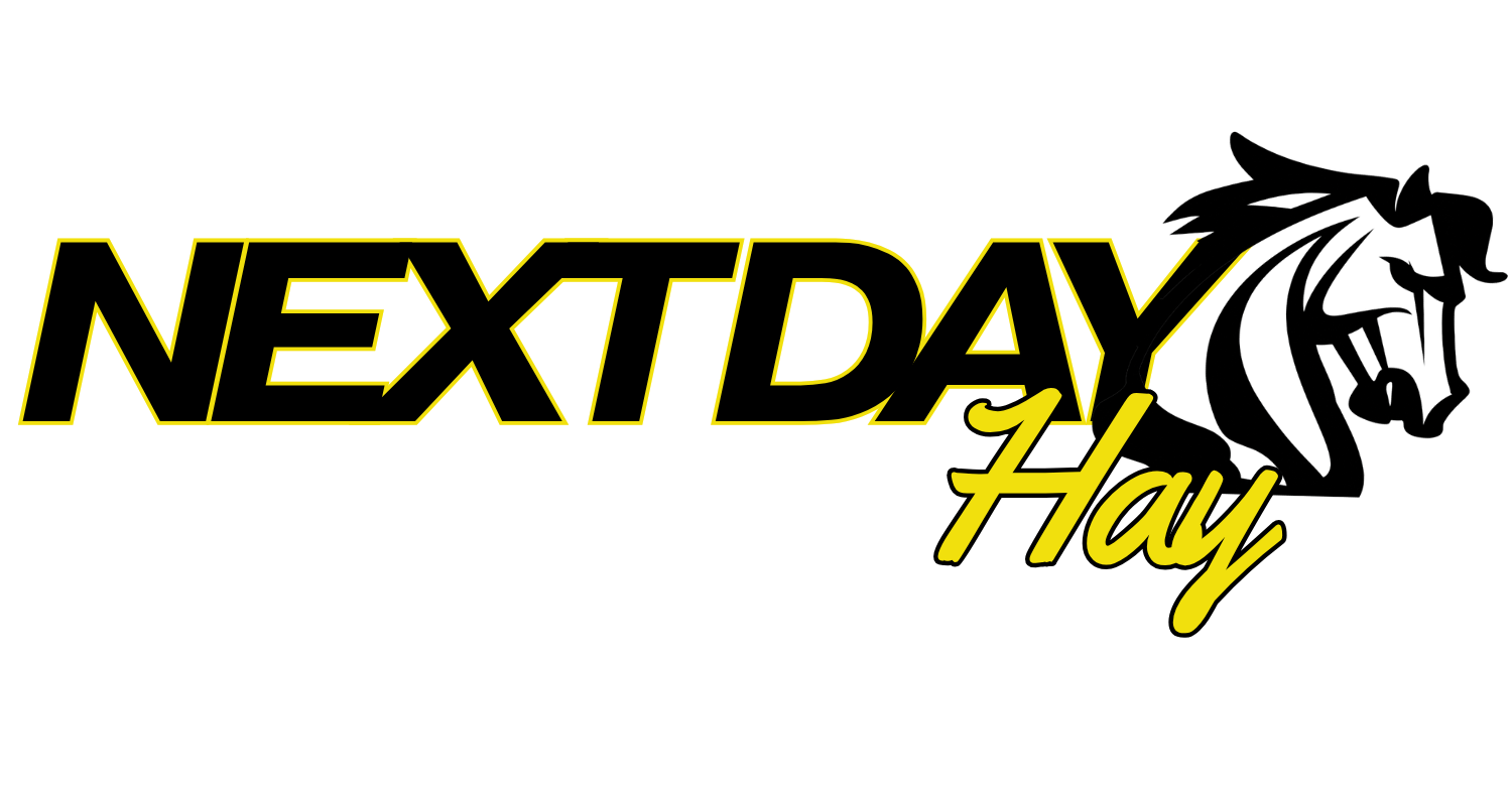 Next Day Hay 
