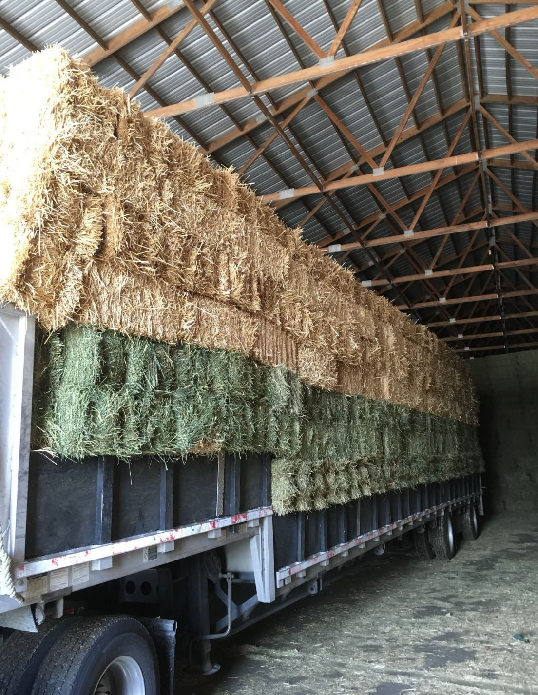 A truck loaded with bales of hay inside a barn with a metal roof and wooden beams.