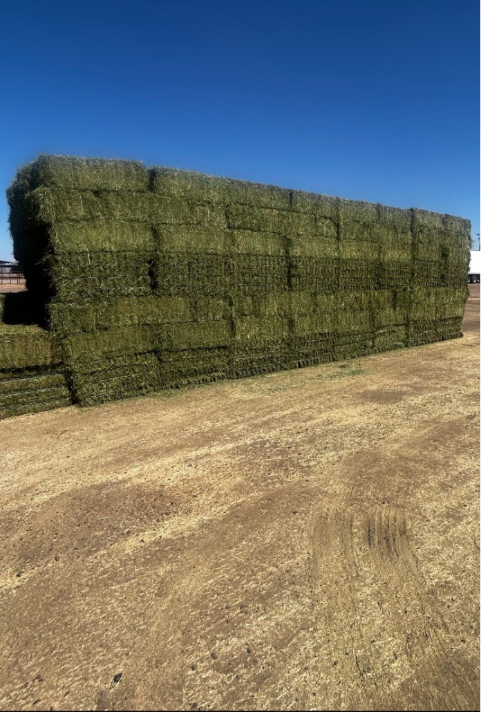 Large stack of hay bales against a clear blue sky on dirt ground.