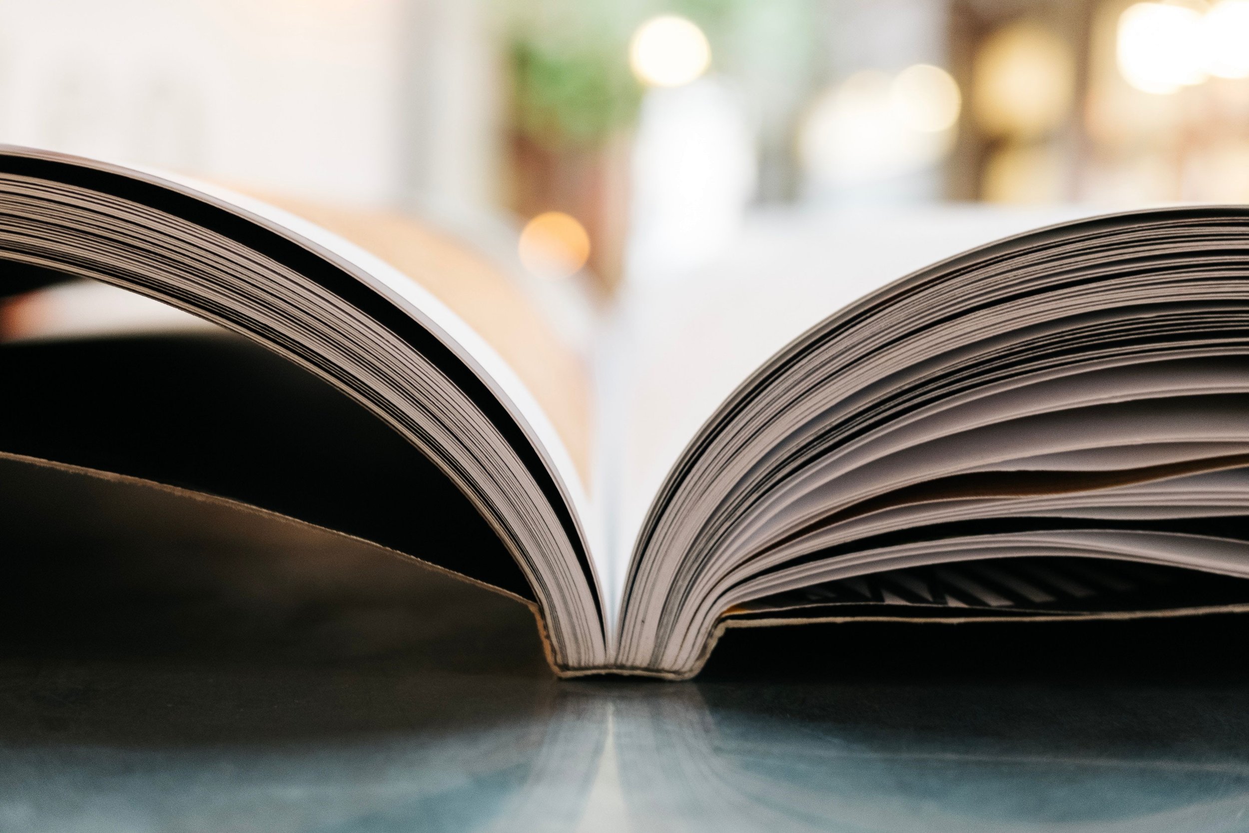 Issue No. 04 | Do Small Businesses Need an Employee Handbook?