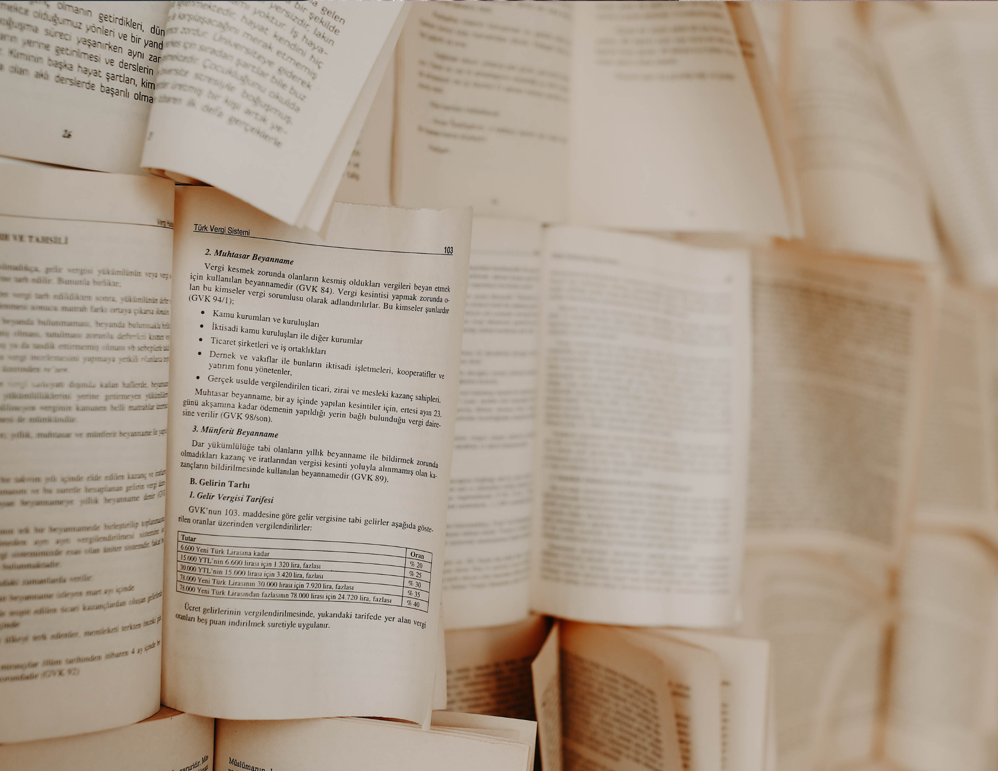 Issue No. 12 | Employee Handbook vs. Company Policies: What’s the Difference?