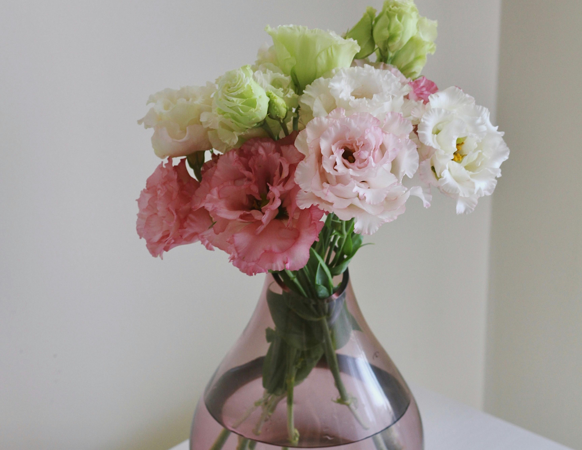 Flowers in the HR Formed office. HR consulting for small business in the Cowichan Valley and remotely.