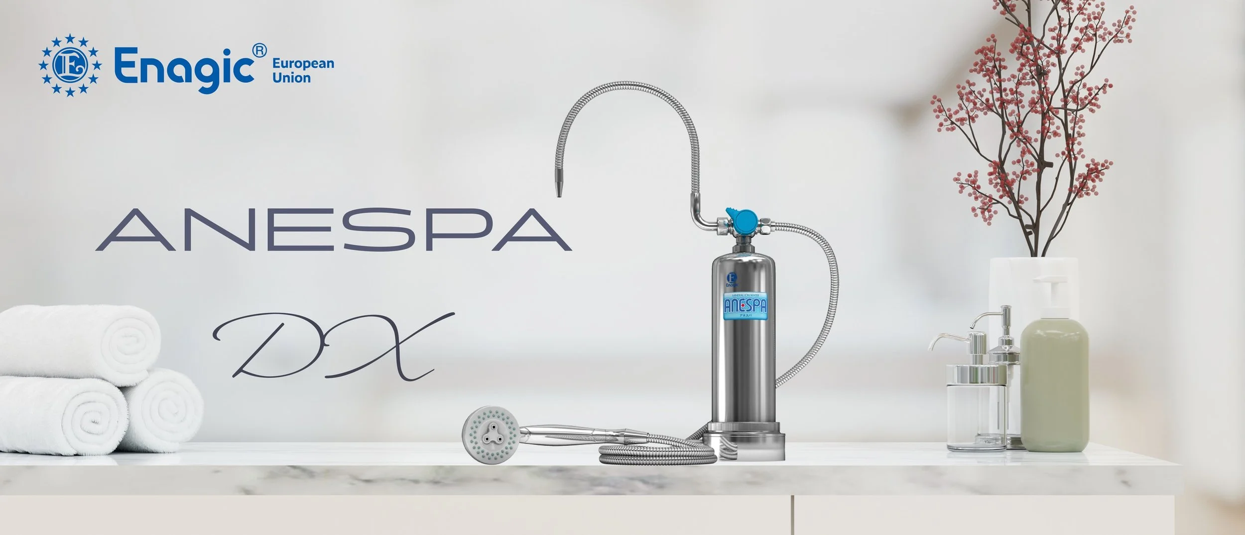 Anespa DX Shower System Enagic Installment Plan Germany