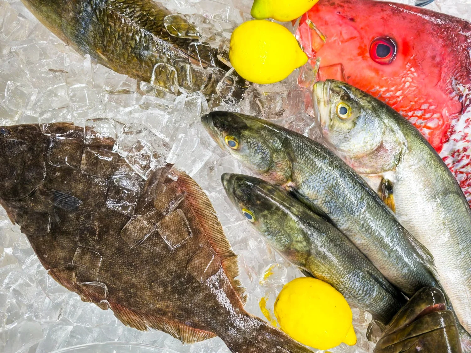 Zoras Seafood Market and Kitchen