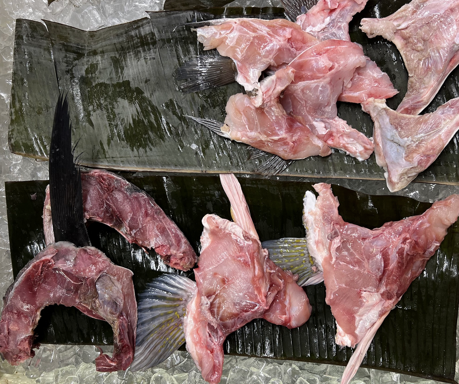 Assorted raw fish fillets and cuts placed on banana leaves, ready for preparation.