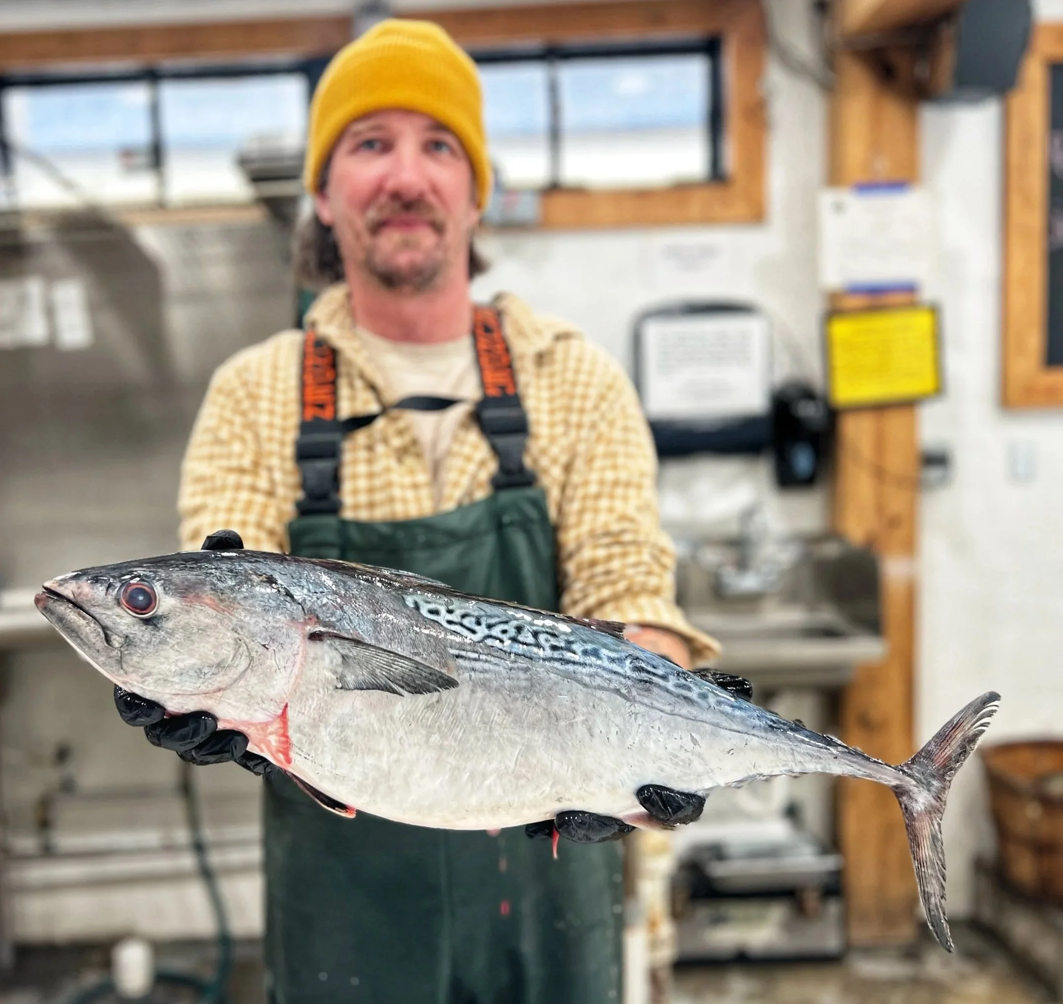 A man wearing a yellow beanie, plaid shirt, and green apron holds a large fish in a kitchen setting.