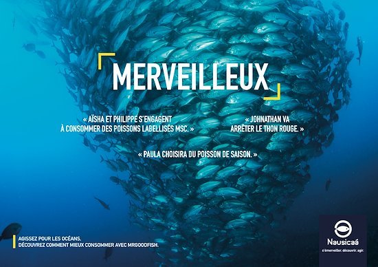 Spectaculaire