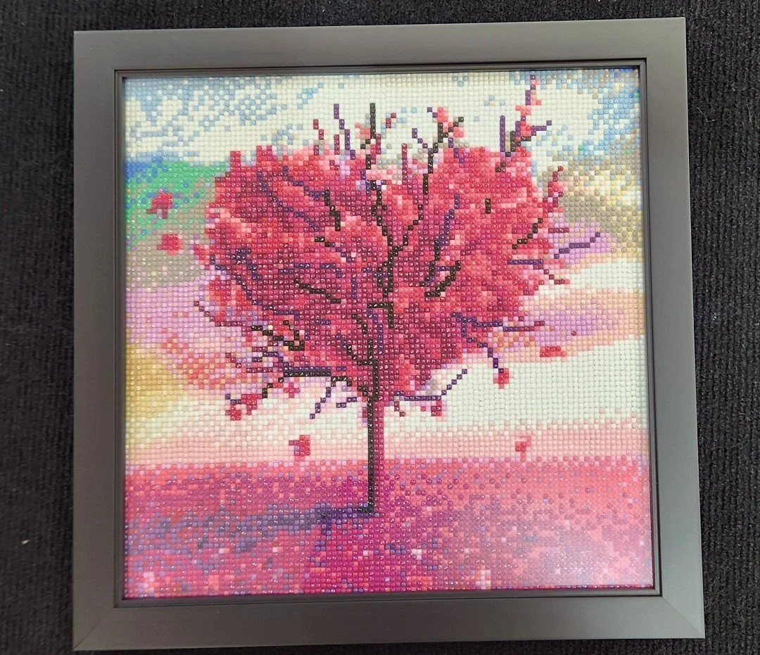 Diamond Art Custom Framing with no mat