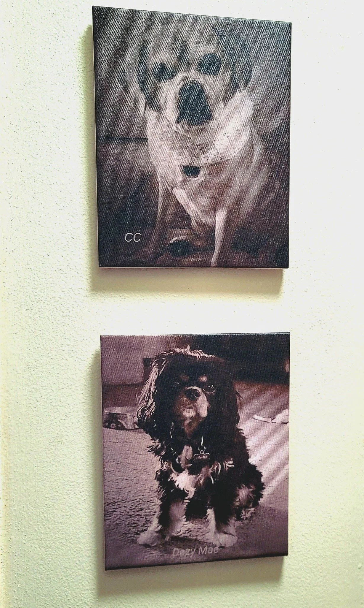 Fur babies