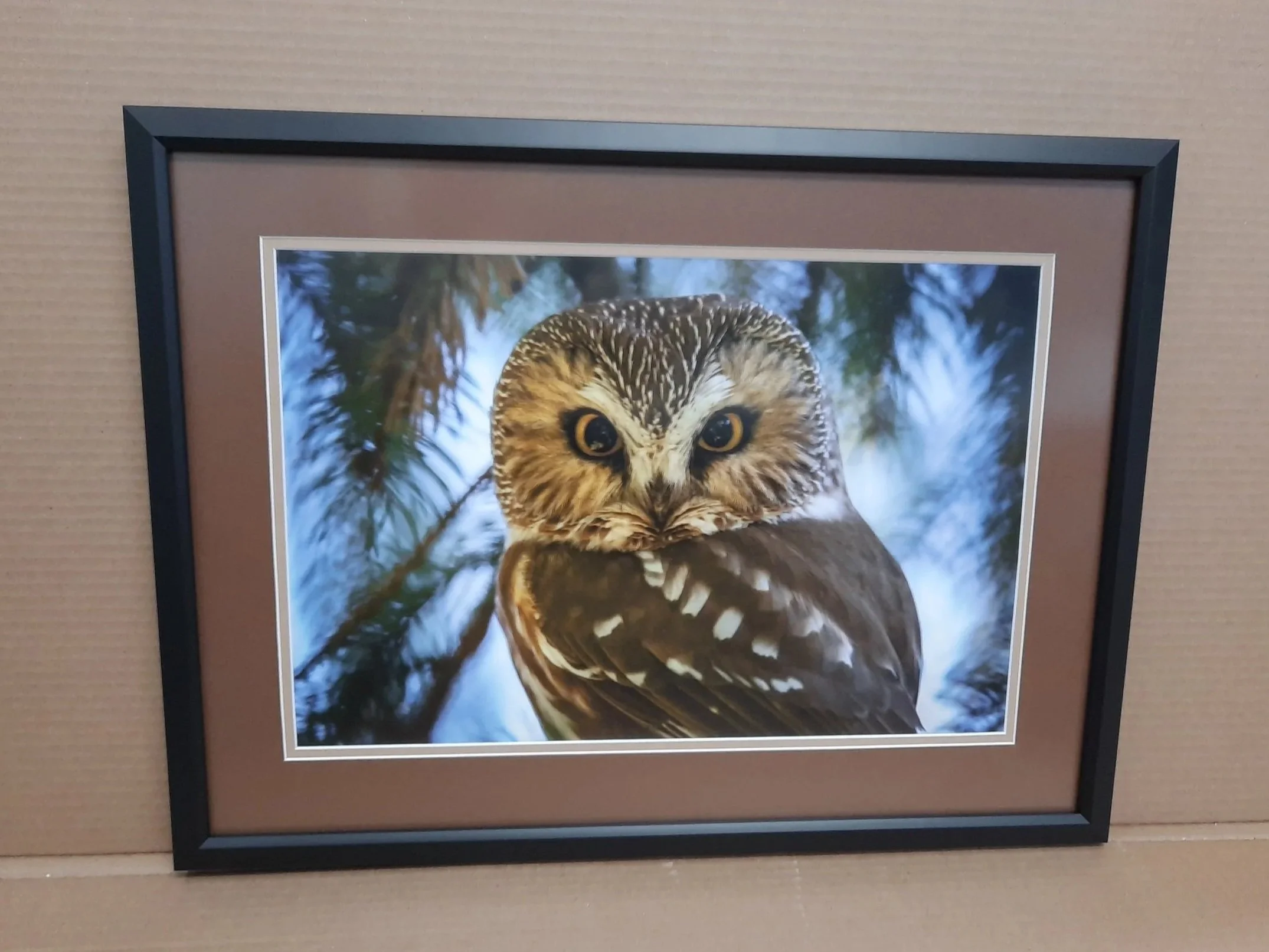 Bird of Prey. Owl Print Custom Framed with double mat