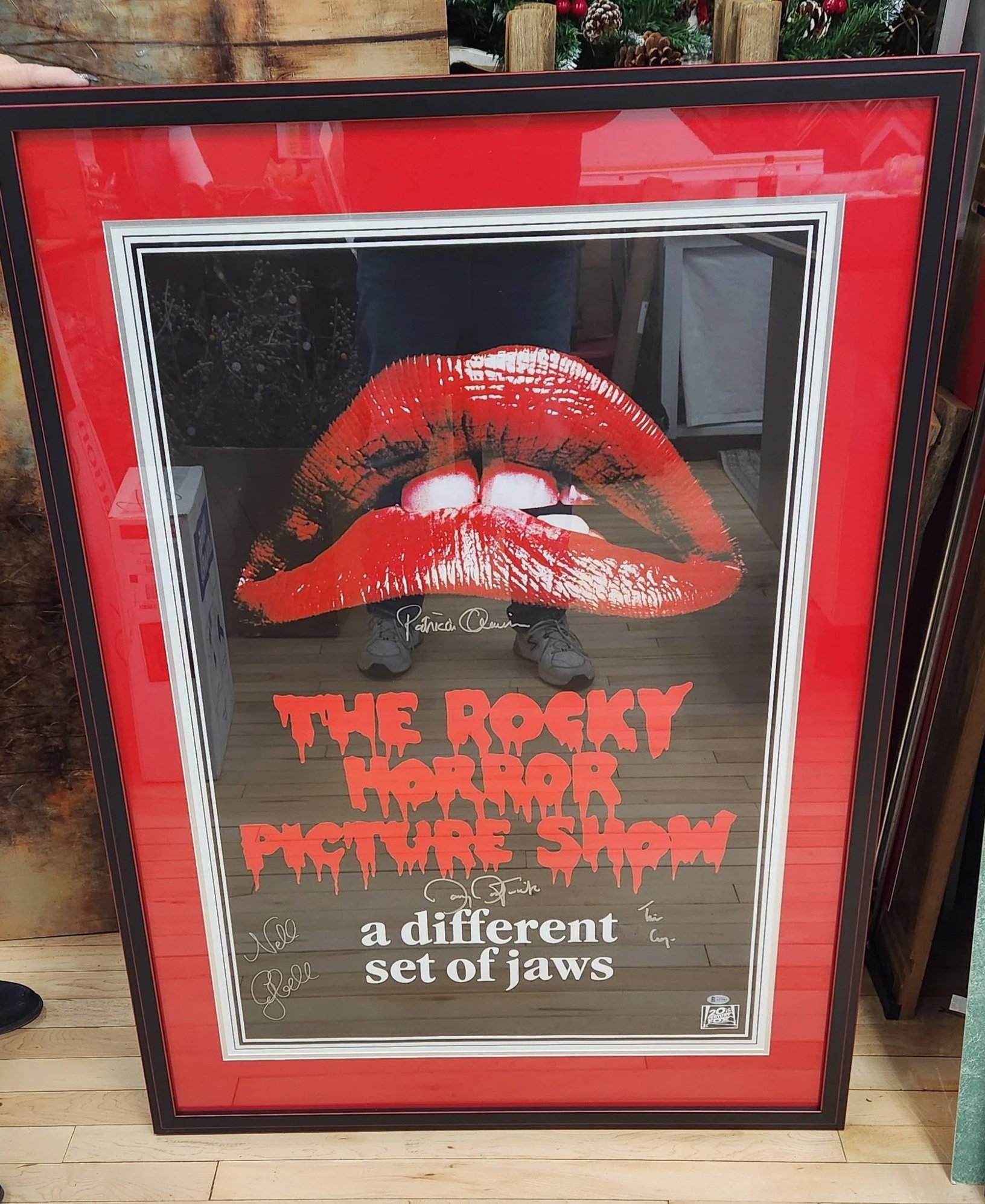 Rocky Horror Picture Show Movie Poster in a frame with double mat