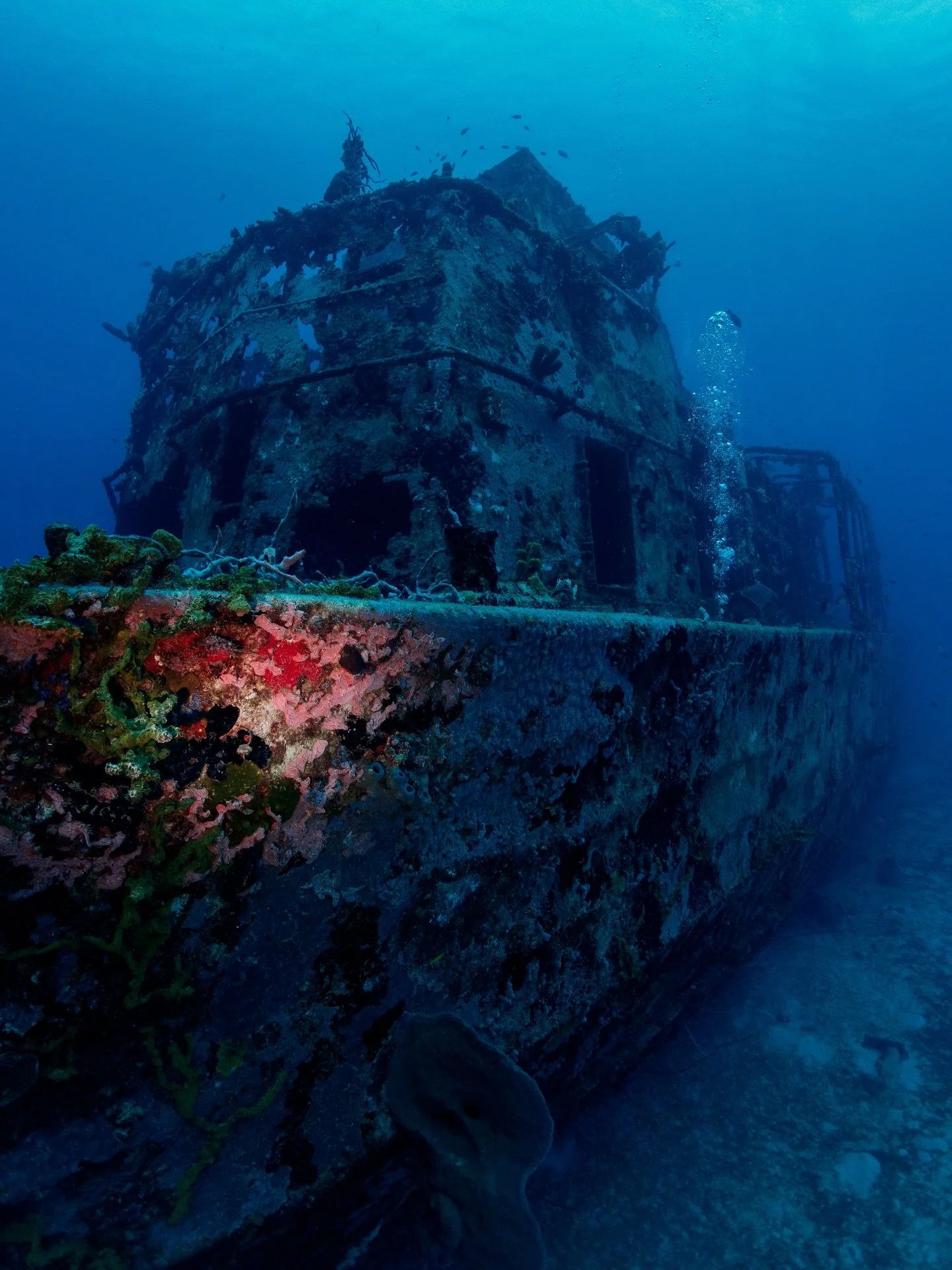 This is what happens when you add a little light at 65 feet down.

I love experimenting with the contrast created by adding a little white light underwater. It&rsquo;s like a magic trick, revealing a whole other experience we&rsquo;d never get withou