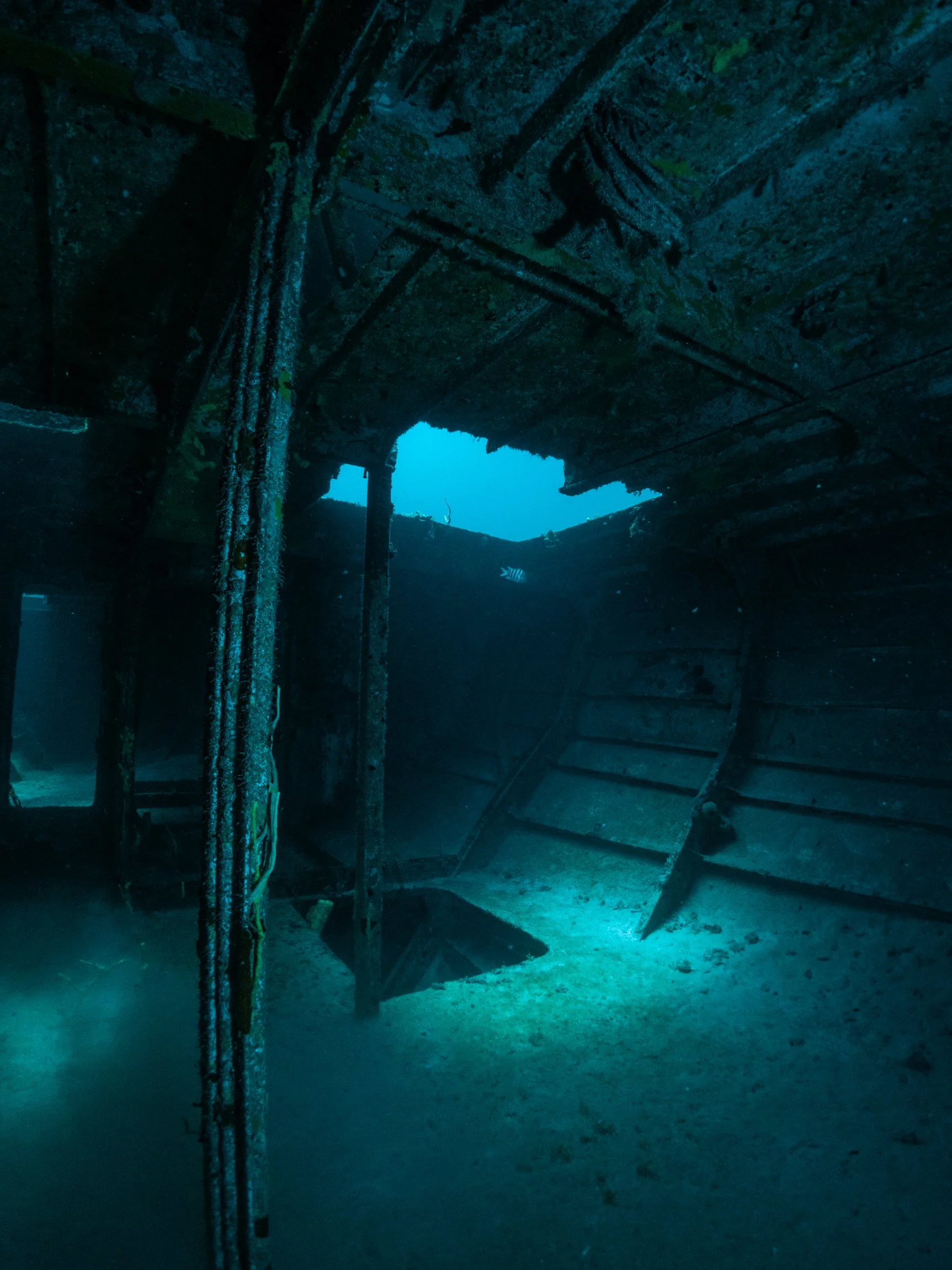 A view inside the MV Trident Shipwreck's hull, in Carlisle Bay, Barbados