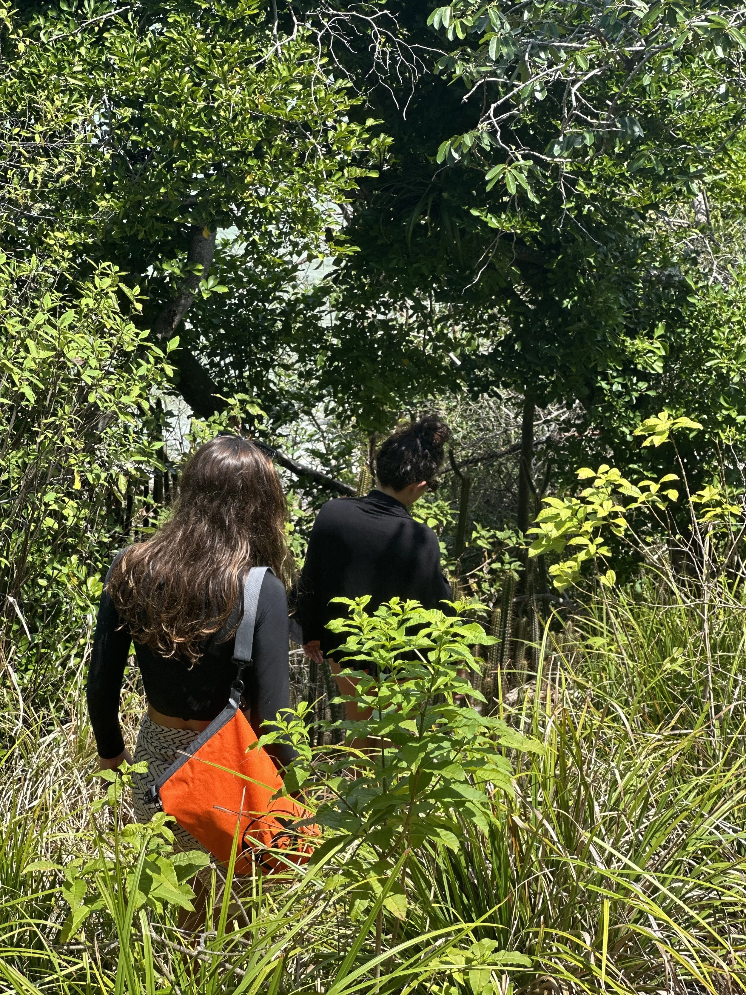 Photo 12-04-2025, 10 54 06 AM MrChroma.jpg