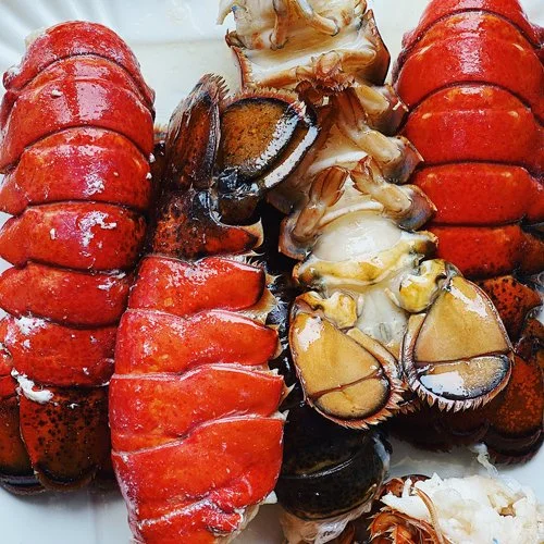 four red lobster tails