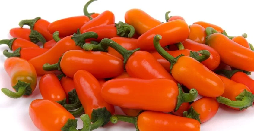 Jalapeno Orange Spice Pepper - 3"