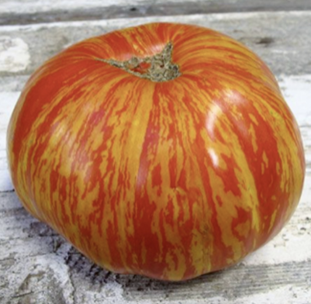Solar Flare Tomato - 3"
