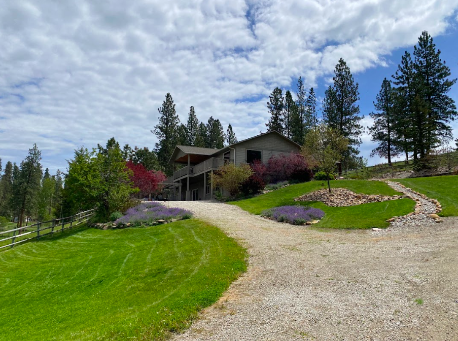 A house on a hillside, surrounded by tall pine trees and colorful shrubs, with a gravel driveway leading up to it and a manicured lawn.