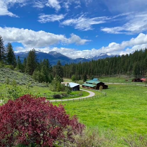 Scenic landscape with green fields, a winding road, trees, and mountain range with snow-capped peaks in the background under a partly cloudy sky.