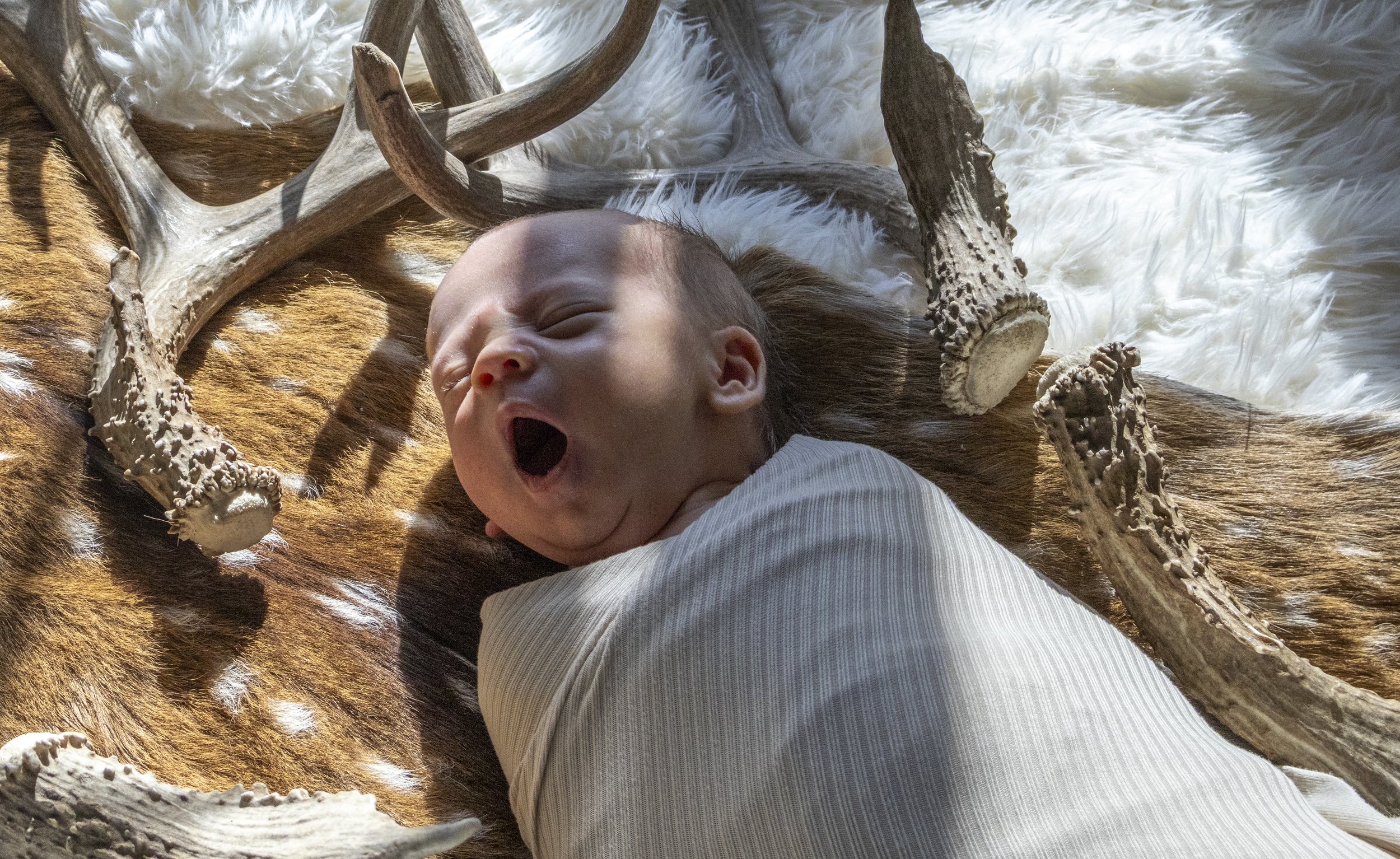 ©brookebartlett_Carson Baby Photos_2025-1110.jpg