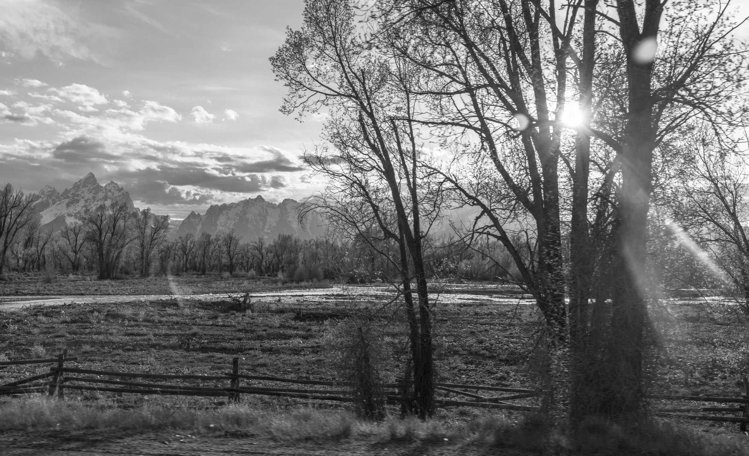 ©AshtonWrightImaging-1.jpg
