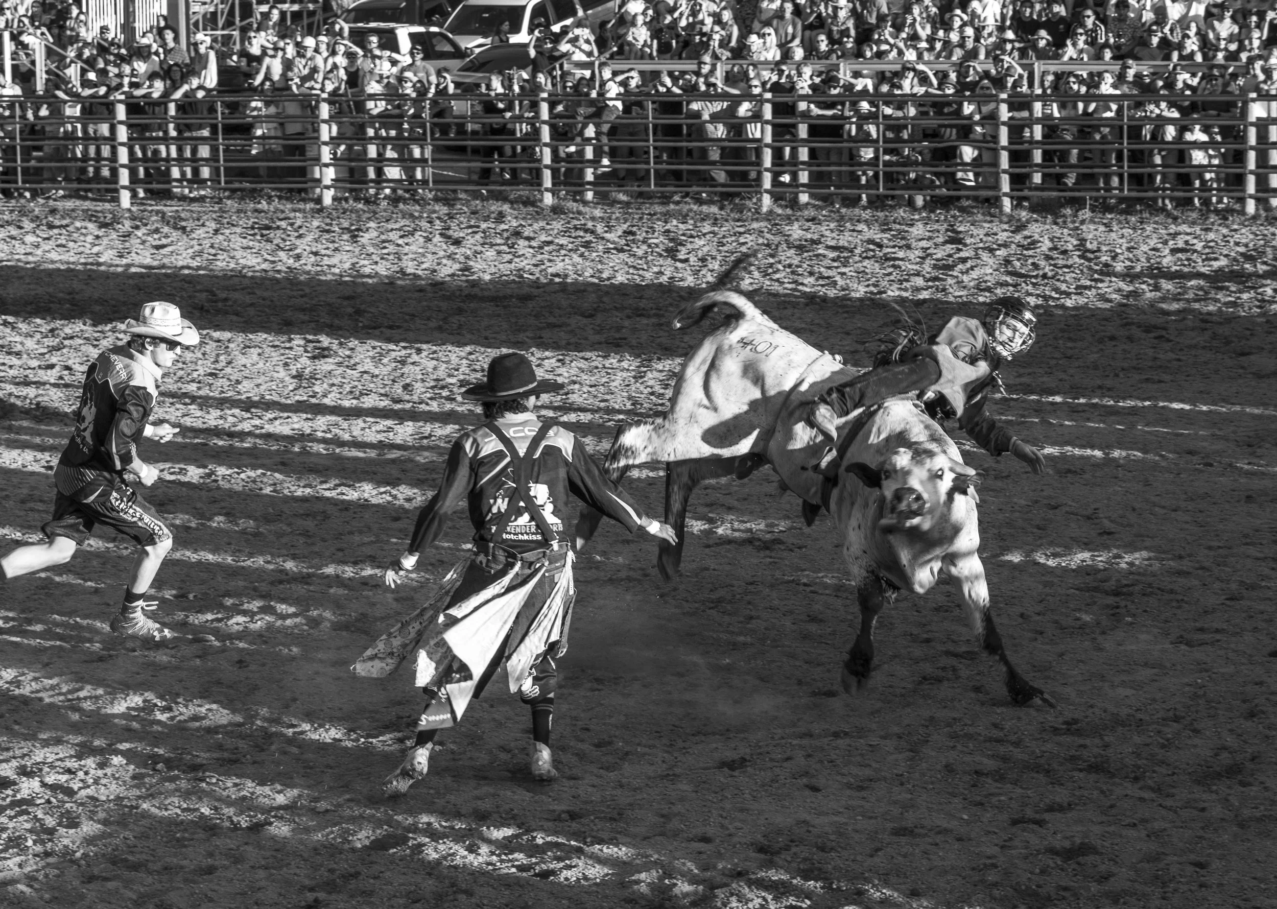 ©AshtonWrightImaging-8098.jpg
