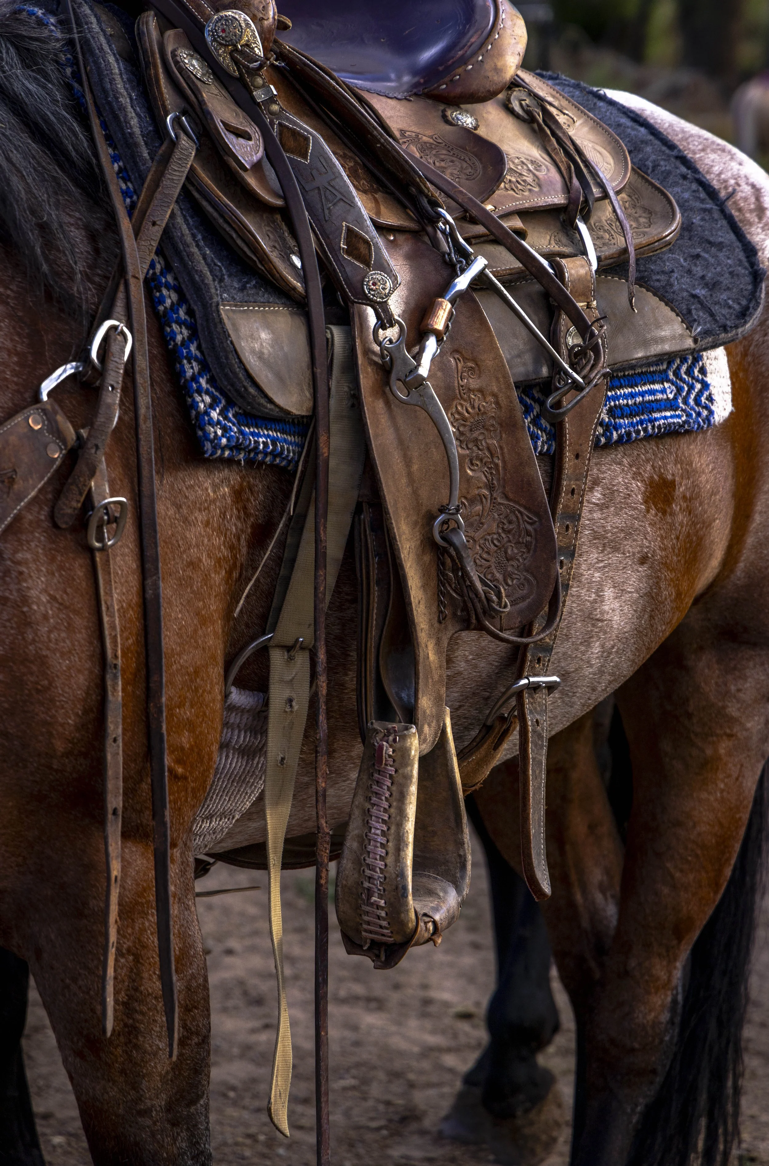©AshtonWrightImaging-7333.jpg