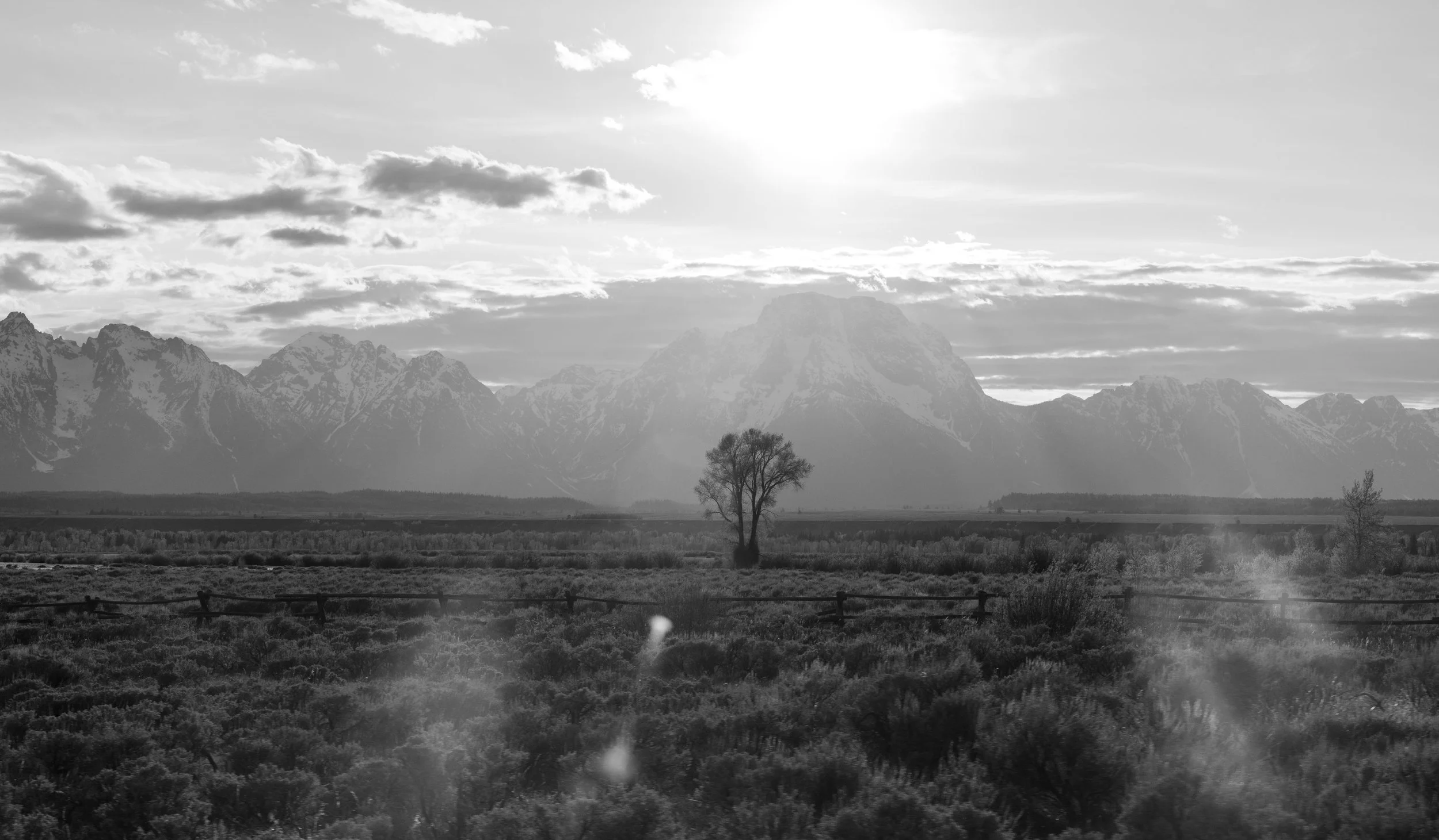 ©AshtonWrightImaging-48.jpg