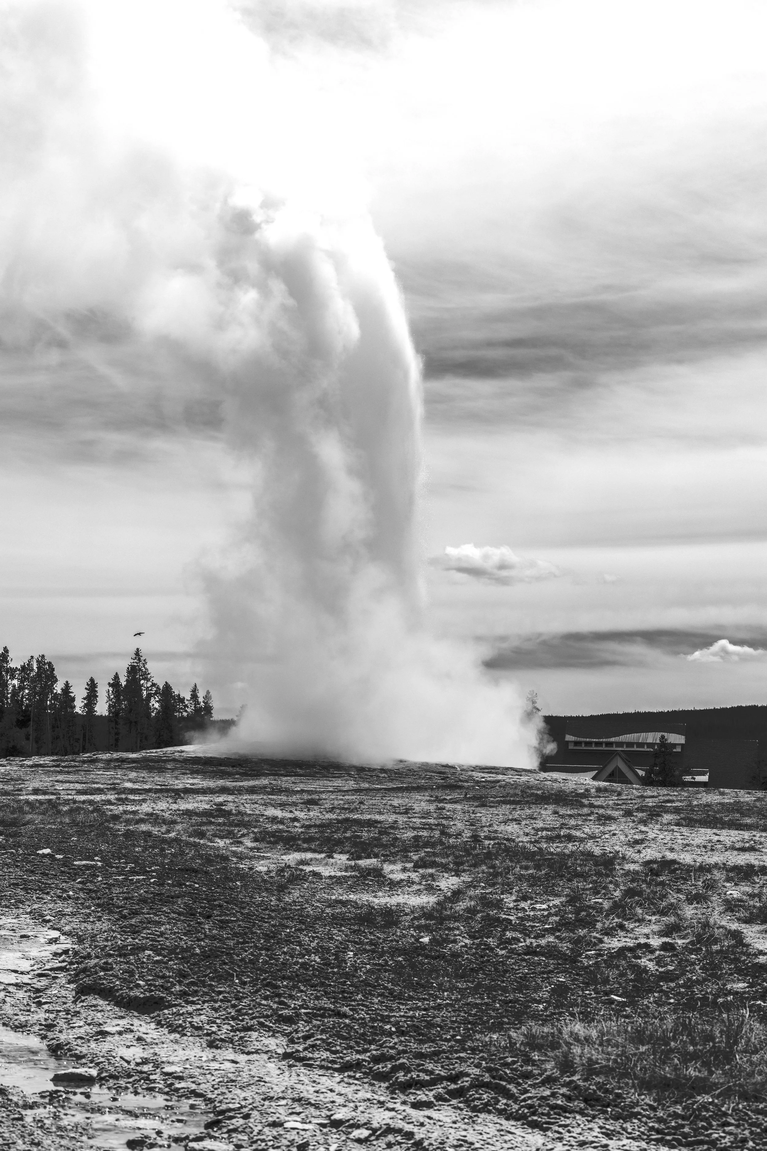 ©AshtonWrightImaging-58.jpg