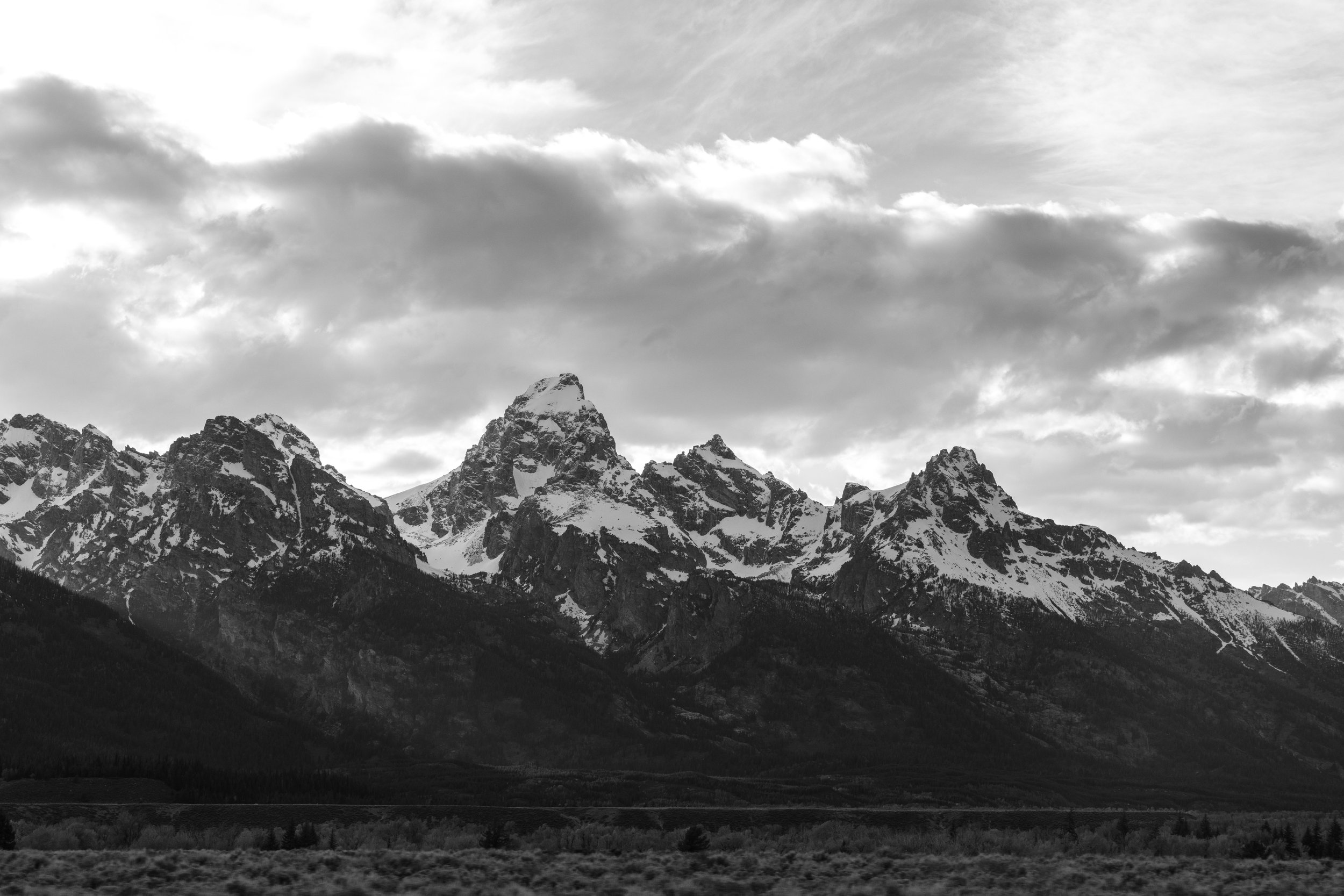 ©AshtonWrightImaging-47.jpg