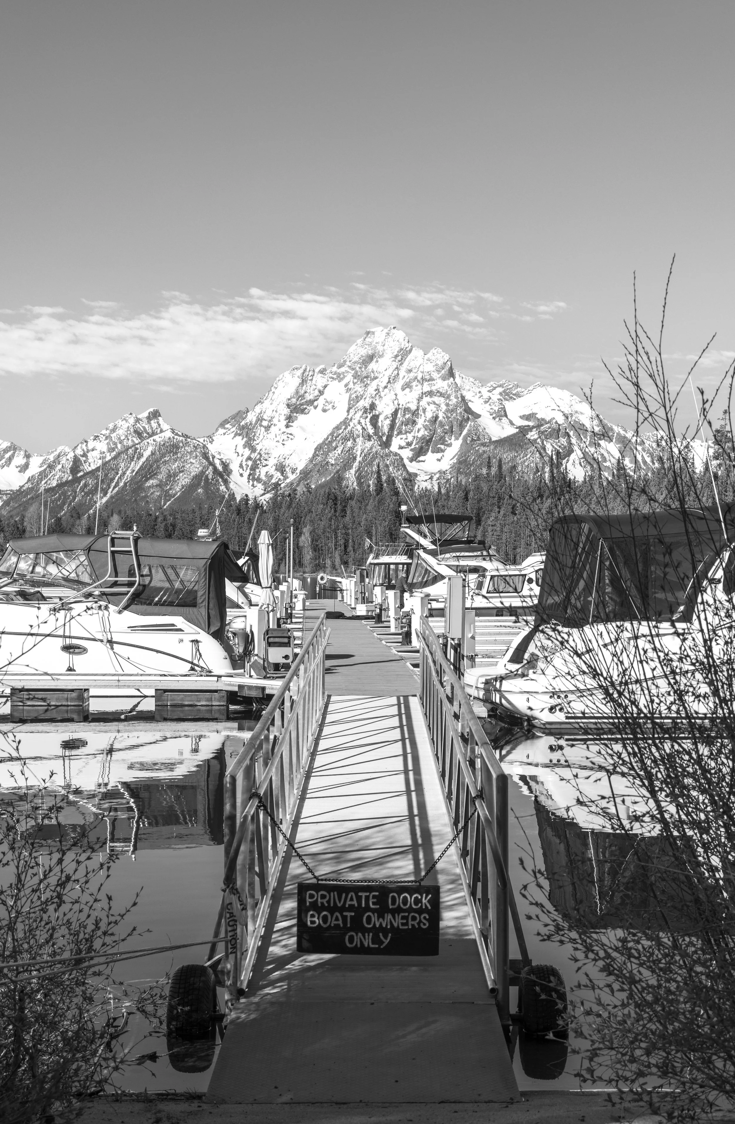 ©AshtonWrightImaging-52.jpg