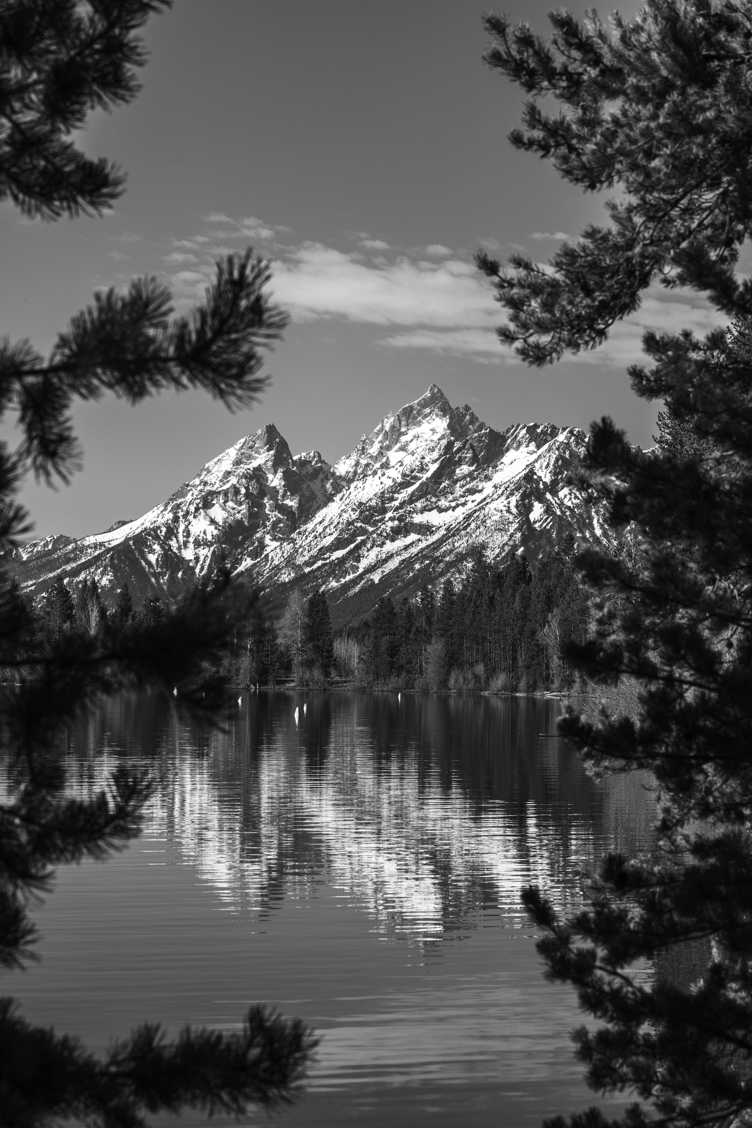 ©AshtonWrightImaging-53.jpg